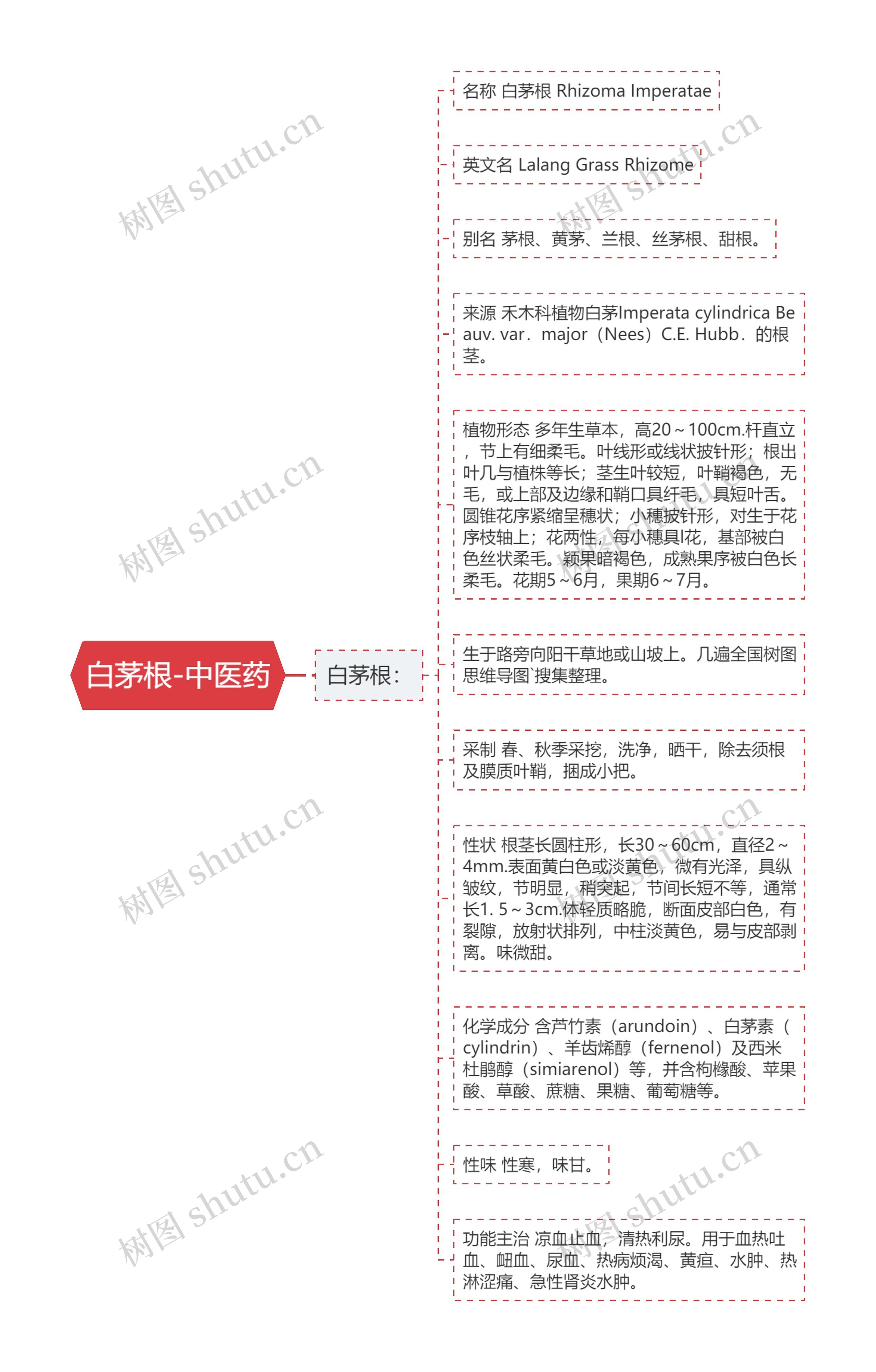 白茅根-中医药思维导图