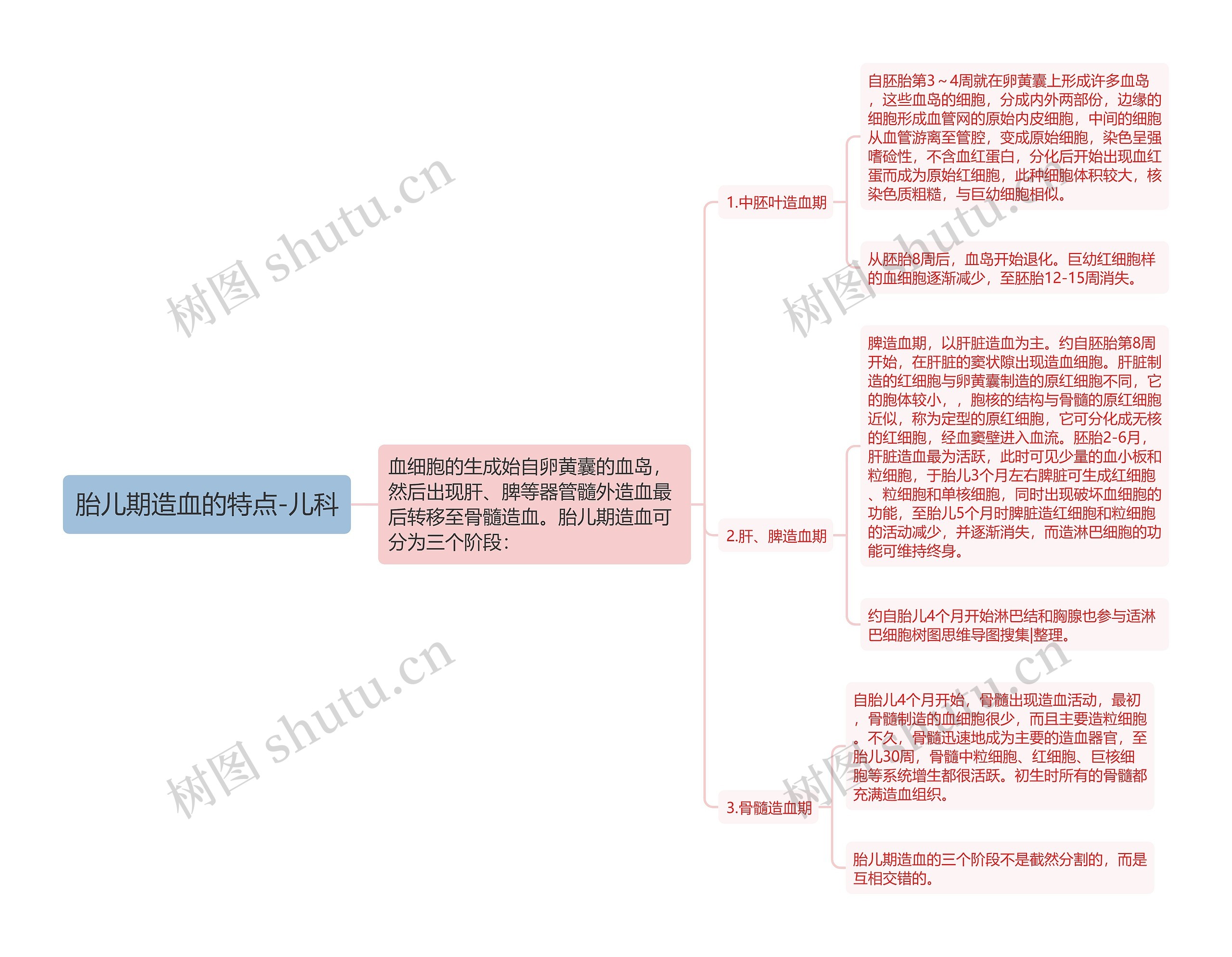 胎儿期造血的特点-儿科思维导图