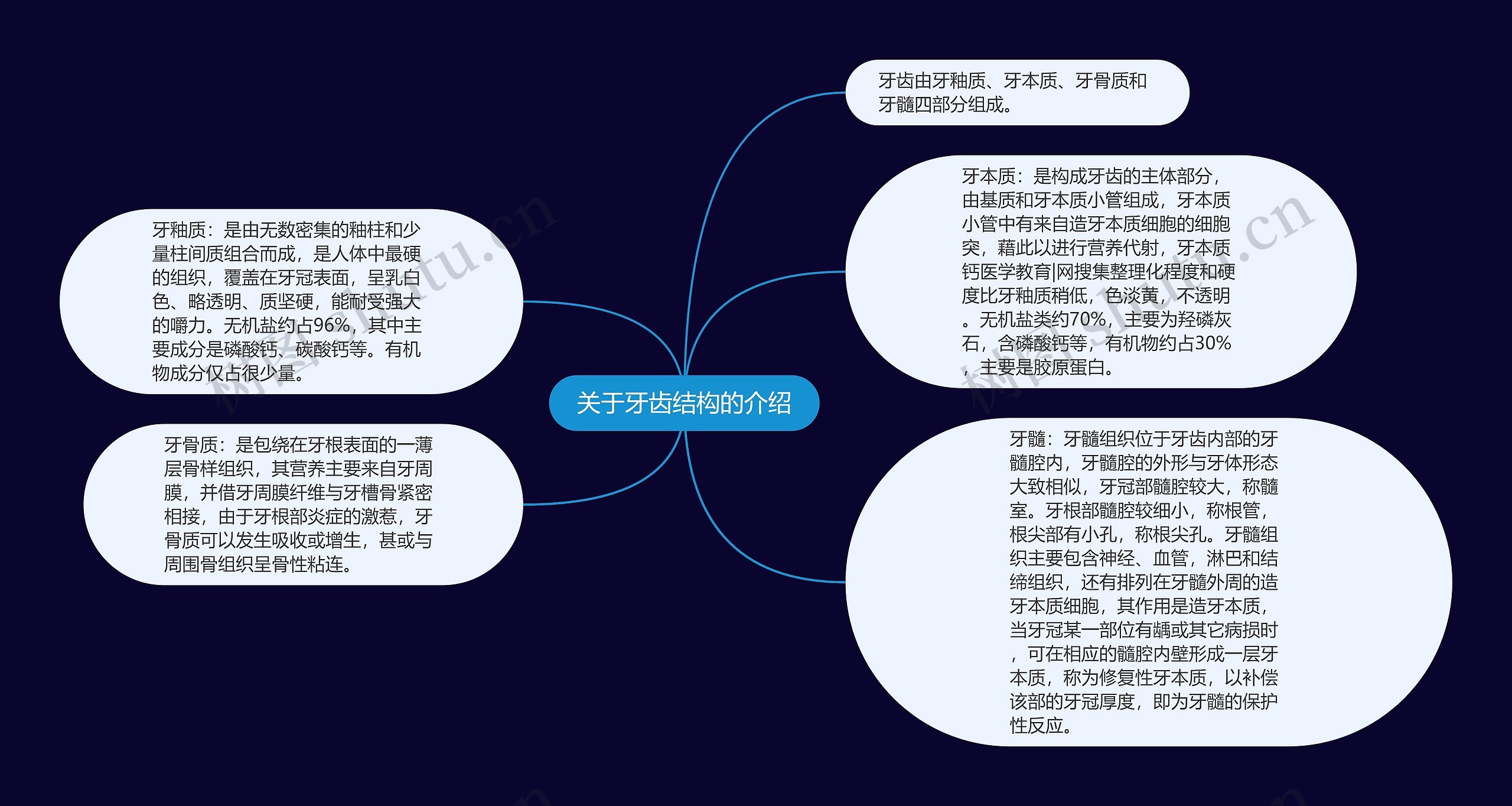 关于牙齿结构的介绍 关于牙齿结构的介绍