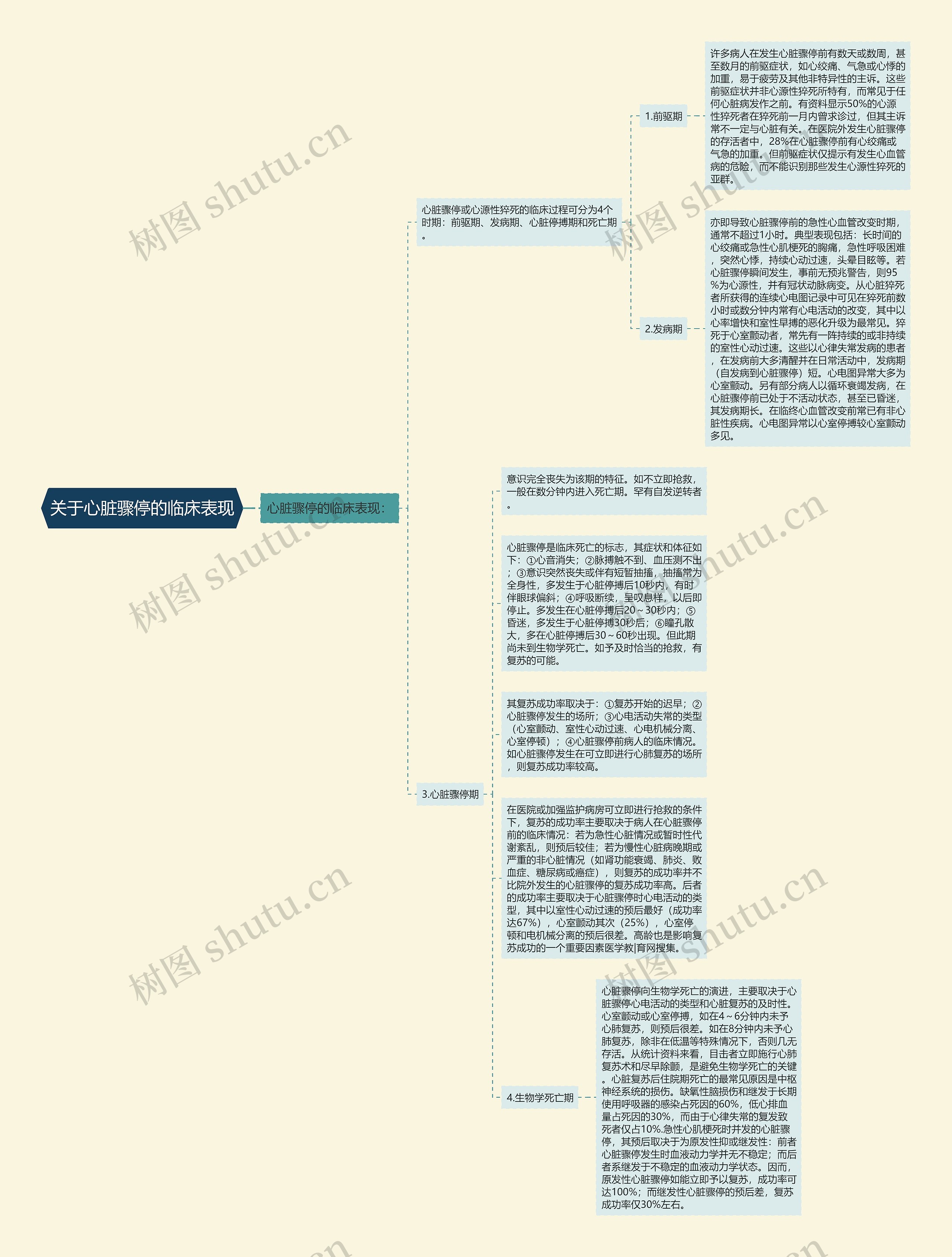 关于心脏骤停的临床表现思维导图