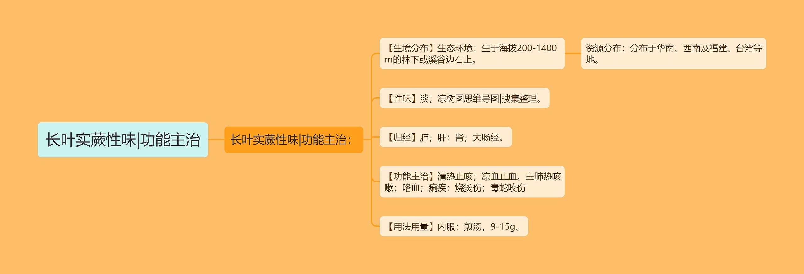 长叶实蕨性味|功能主治思维导图