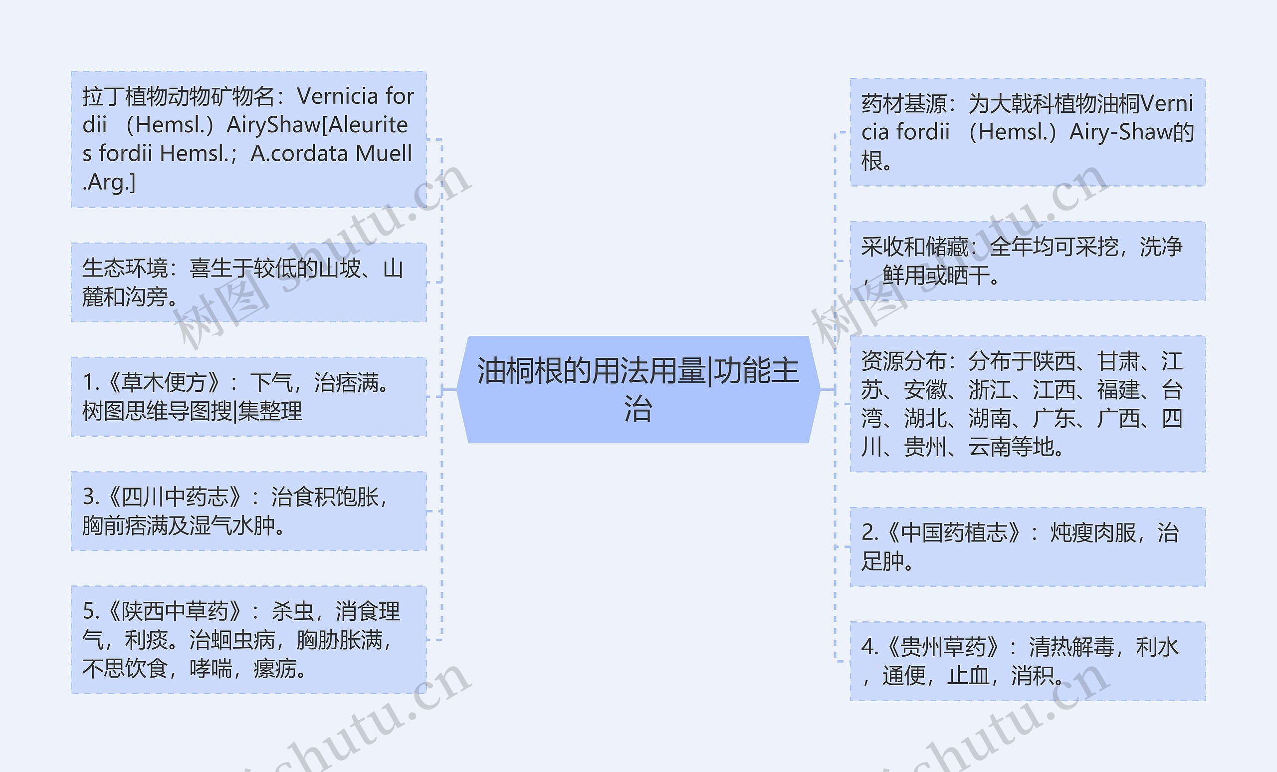 油桐根的用法用量|功能主治思维导图