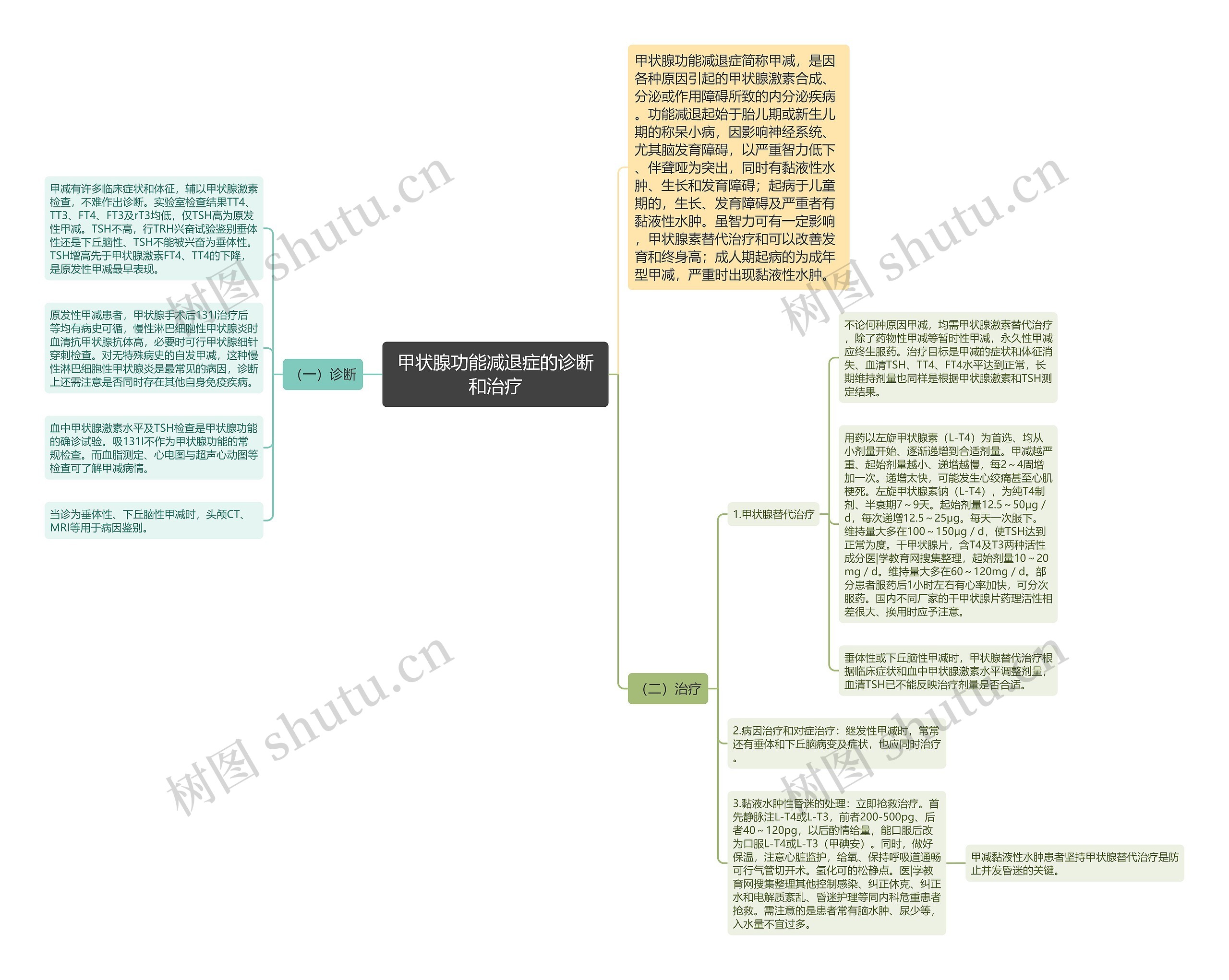 甲状腺功能减退症的诊断和治疗思维导图