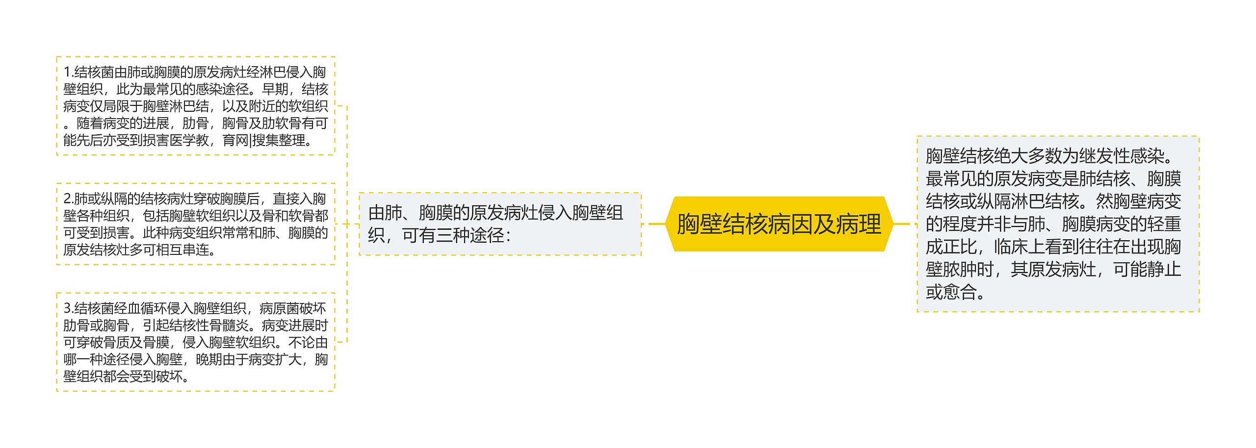 胸壁结核病因及病理思维导图