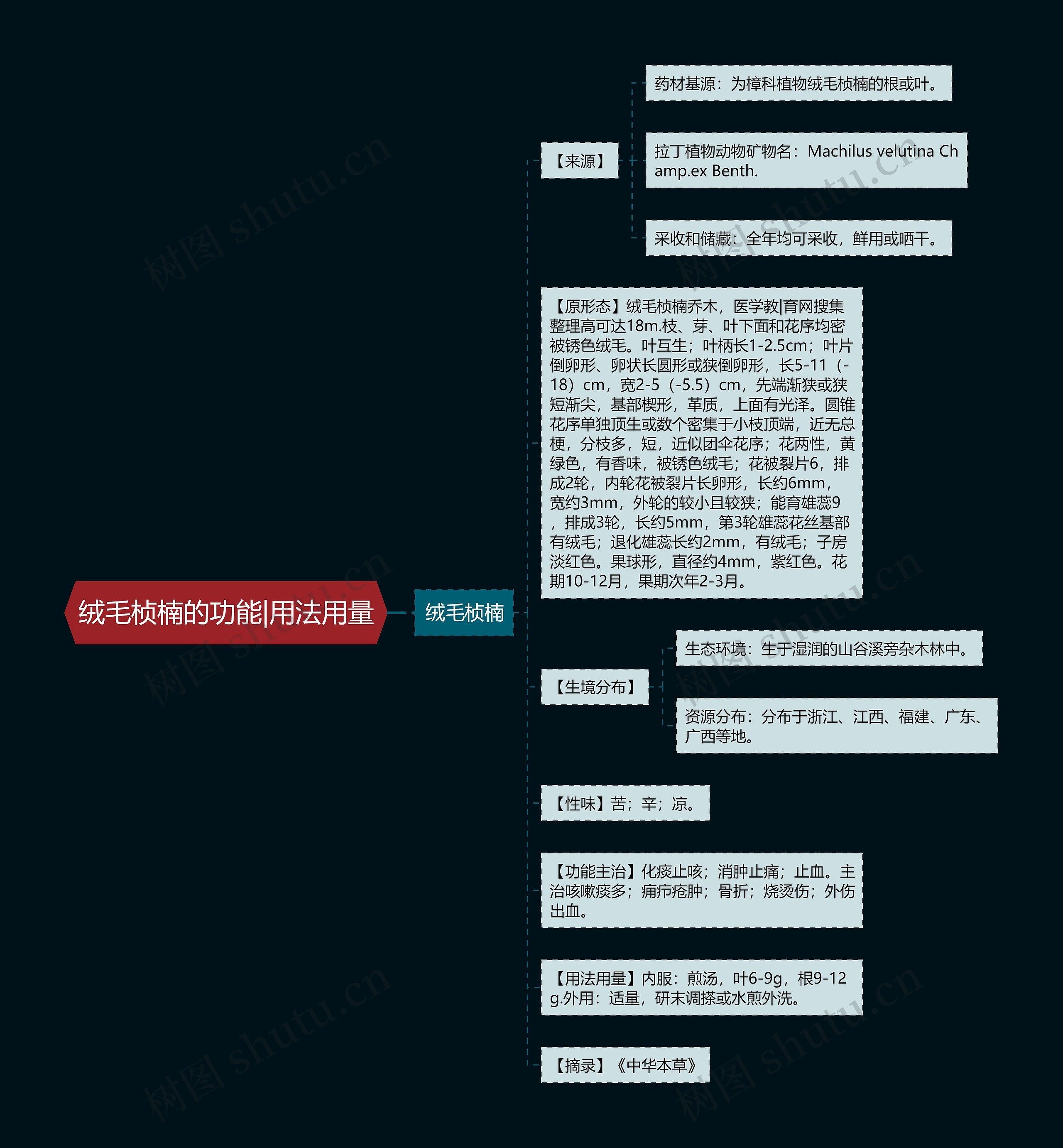 绒毛桢楠的功能|用法用量 绒毛桢楠的功能|用法用量