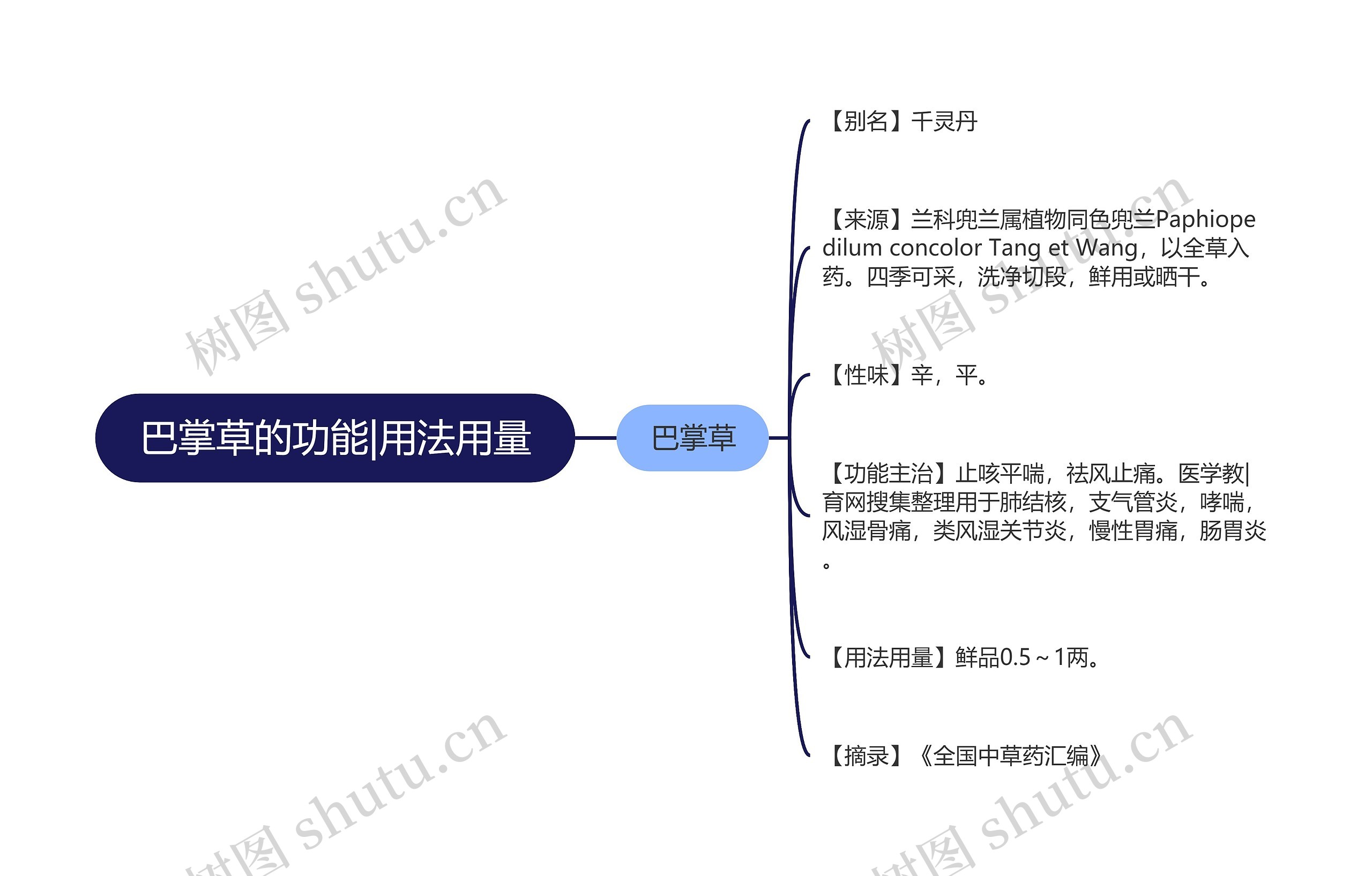 巴掌草的功能|用法用量