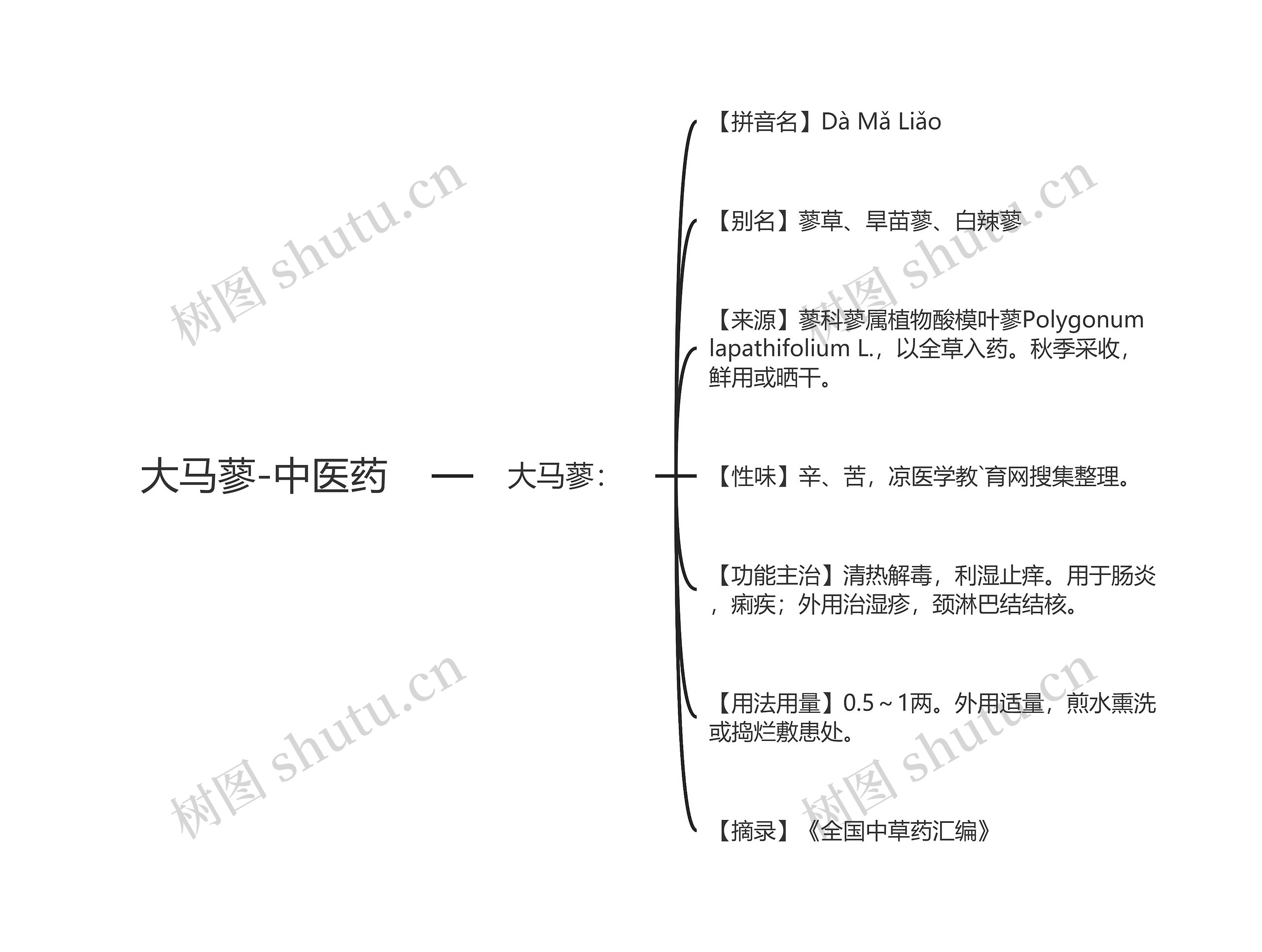 大马蓼-中医药思维导图