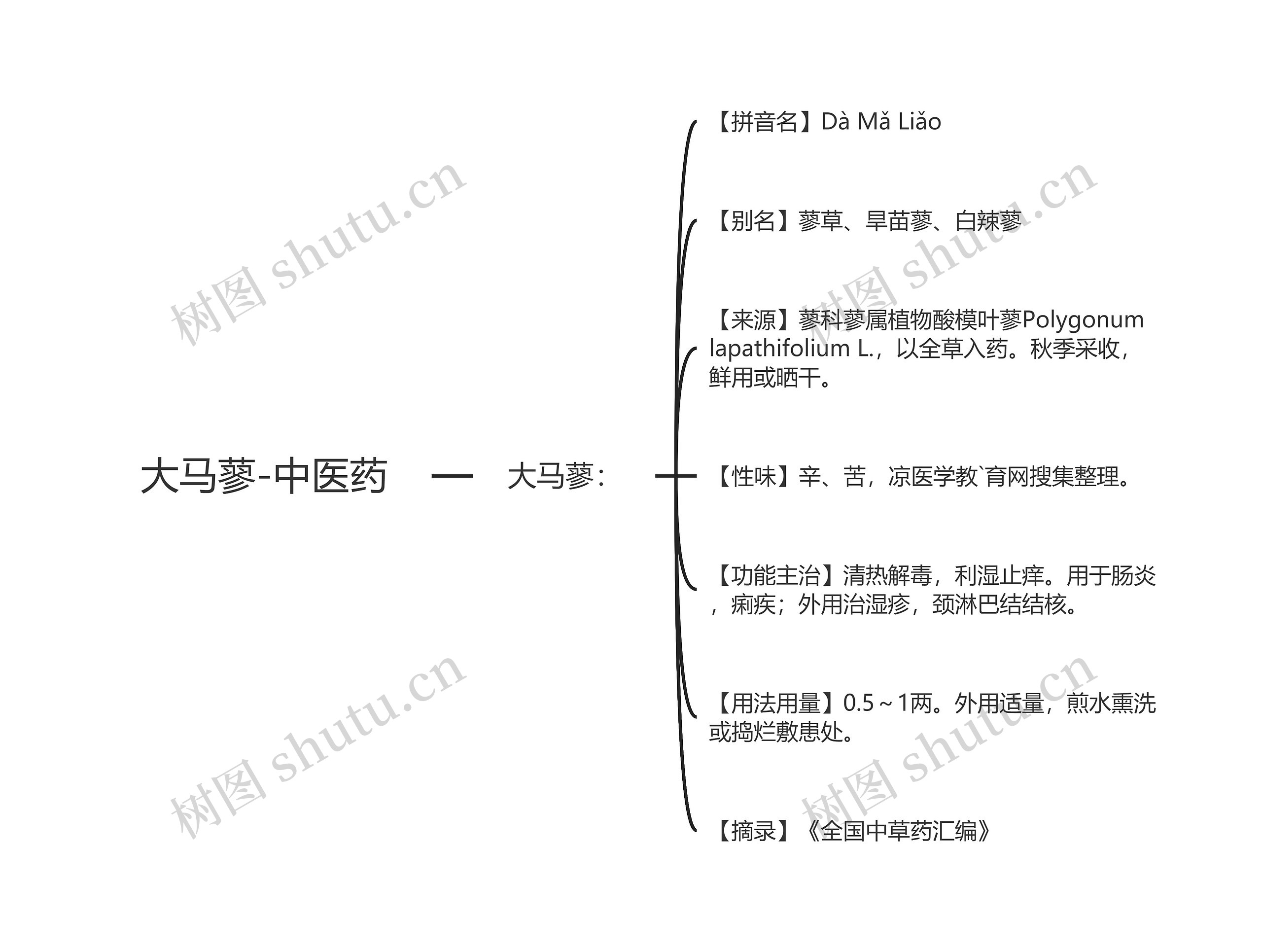 大马蓼-中医药 大马蓼-中医药