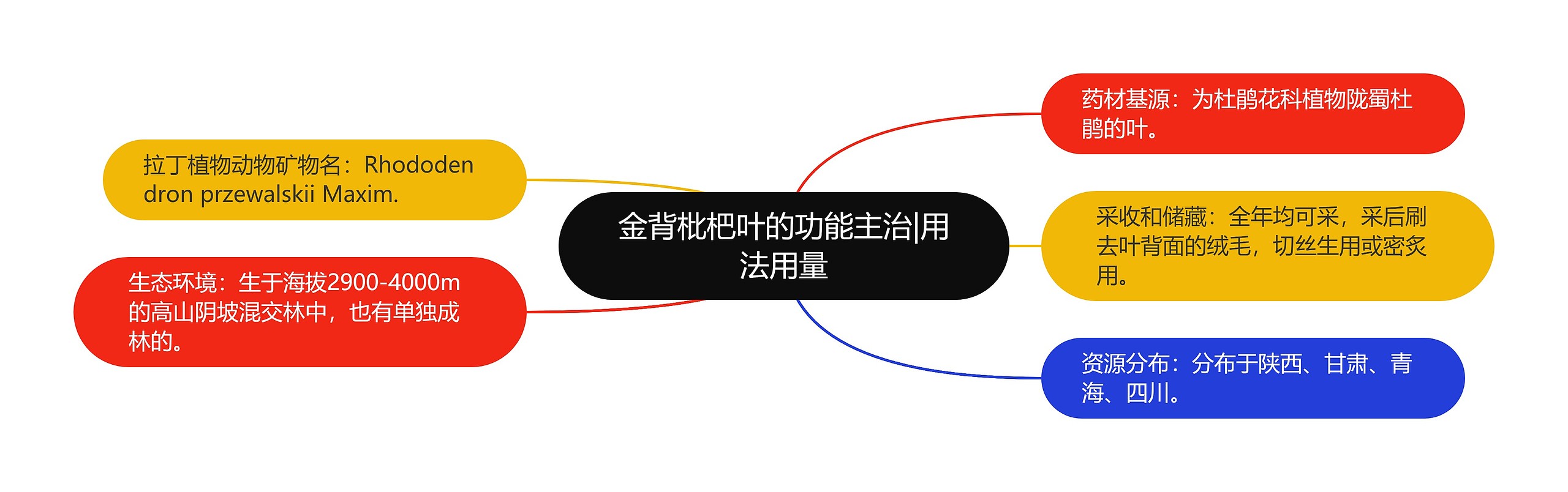 金背枇杷叶的功能主治|用法用量 金背枇杷叶的功能主治|用法用量