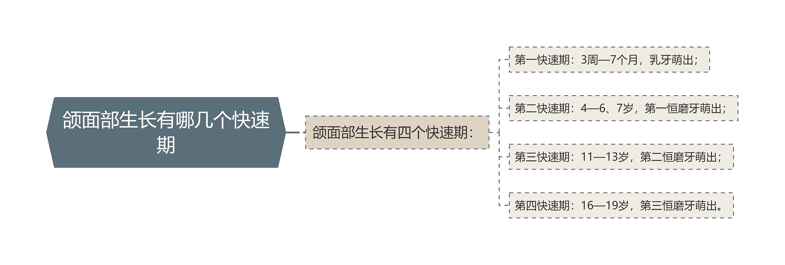 颌面部生长有哪几个快速期思维导图