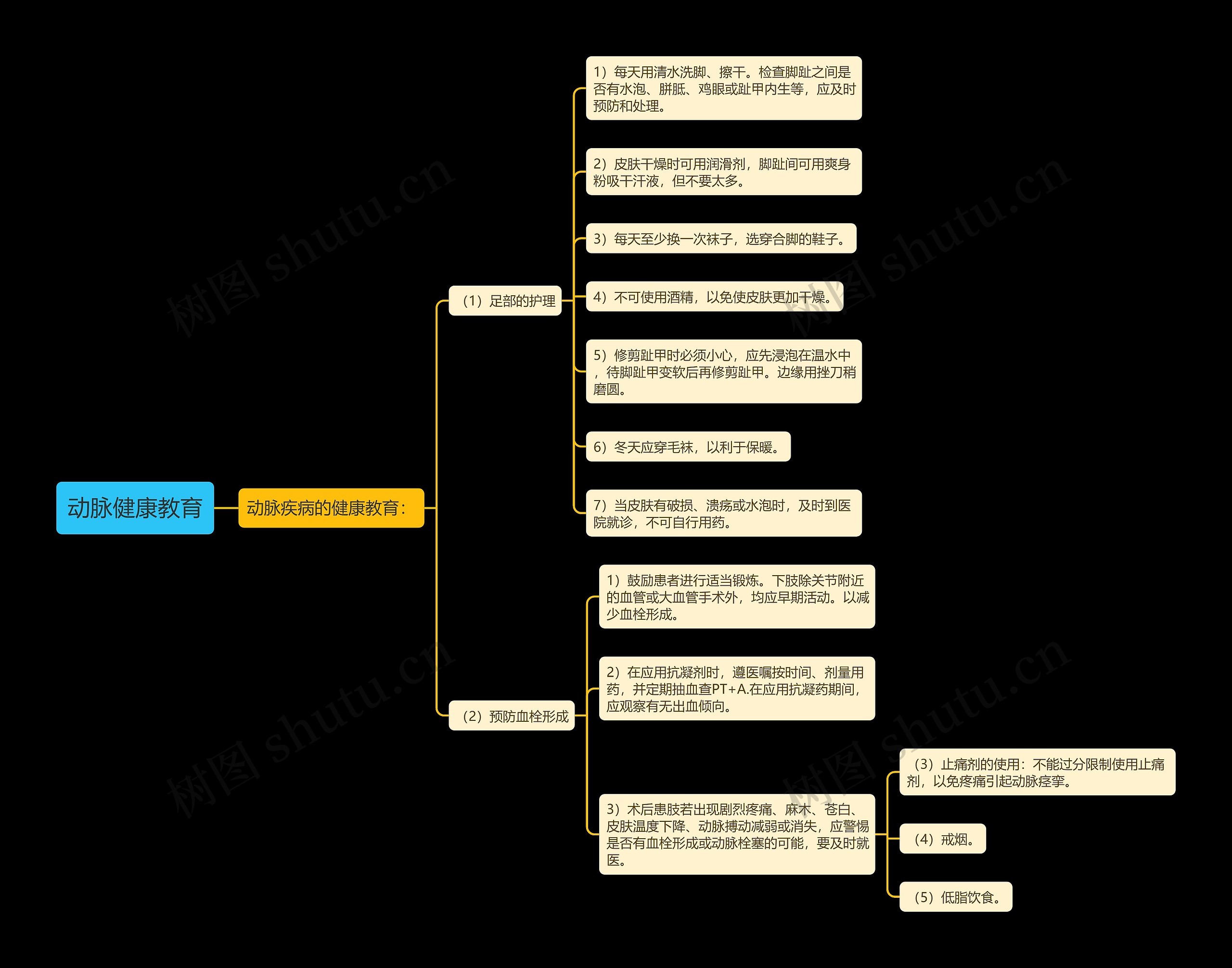 动脉健康教育 动脉健康教育