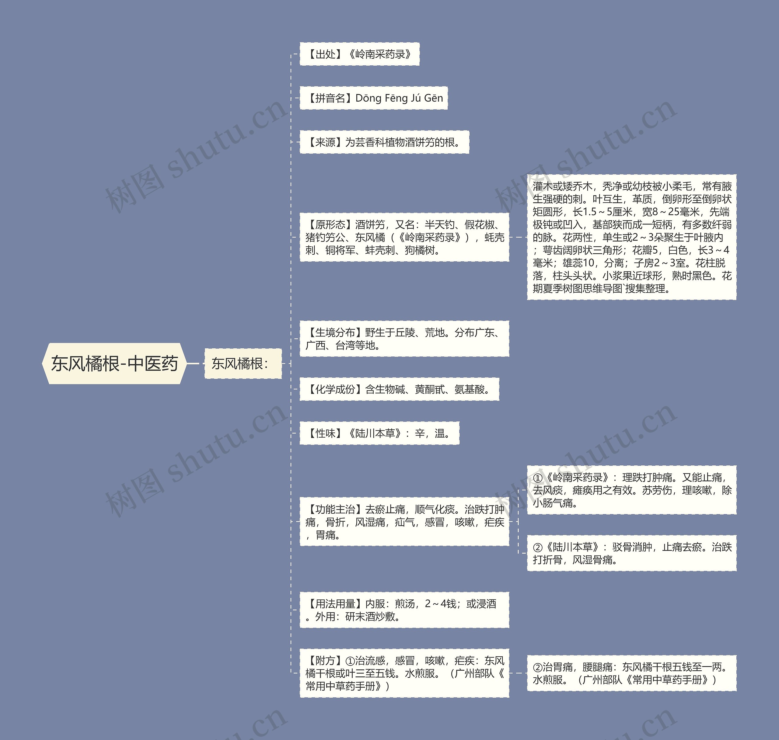 东风橘根-中医药思维导图