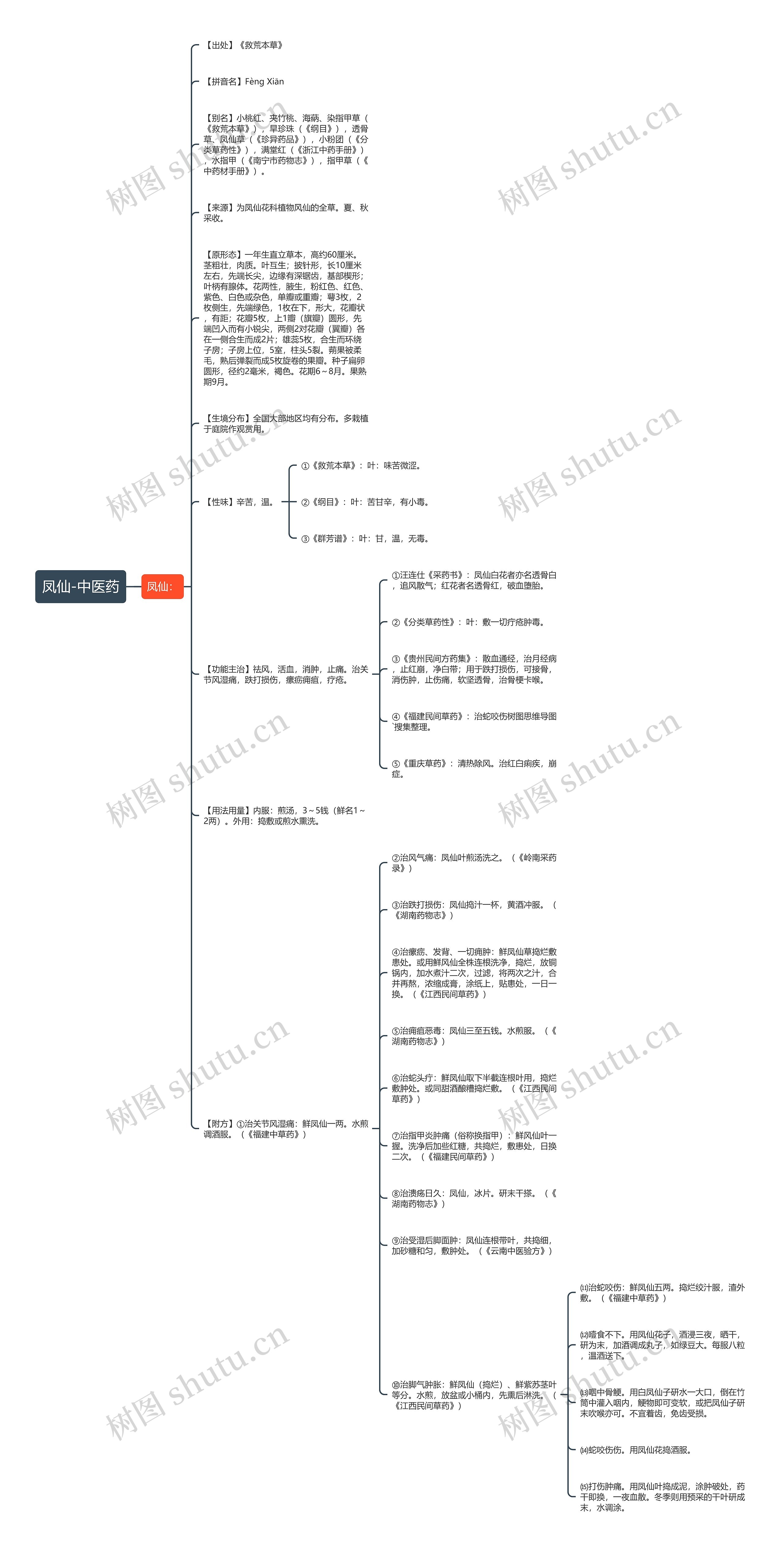 凤仙-中医药 凤仙-中医药
