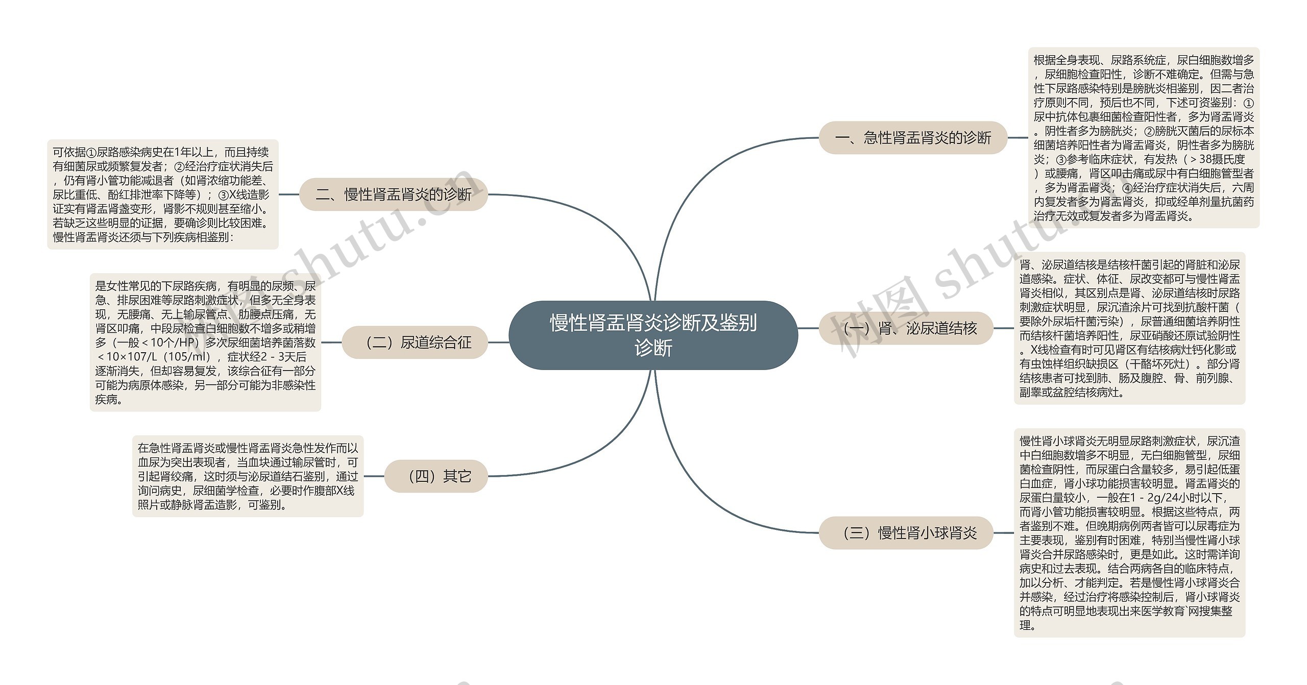 慢性肾盂肾炎诊断及鉴别诊断思维导图