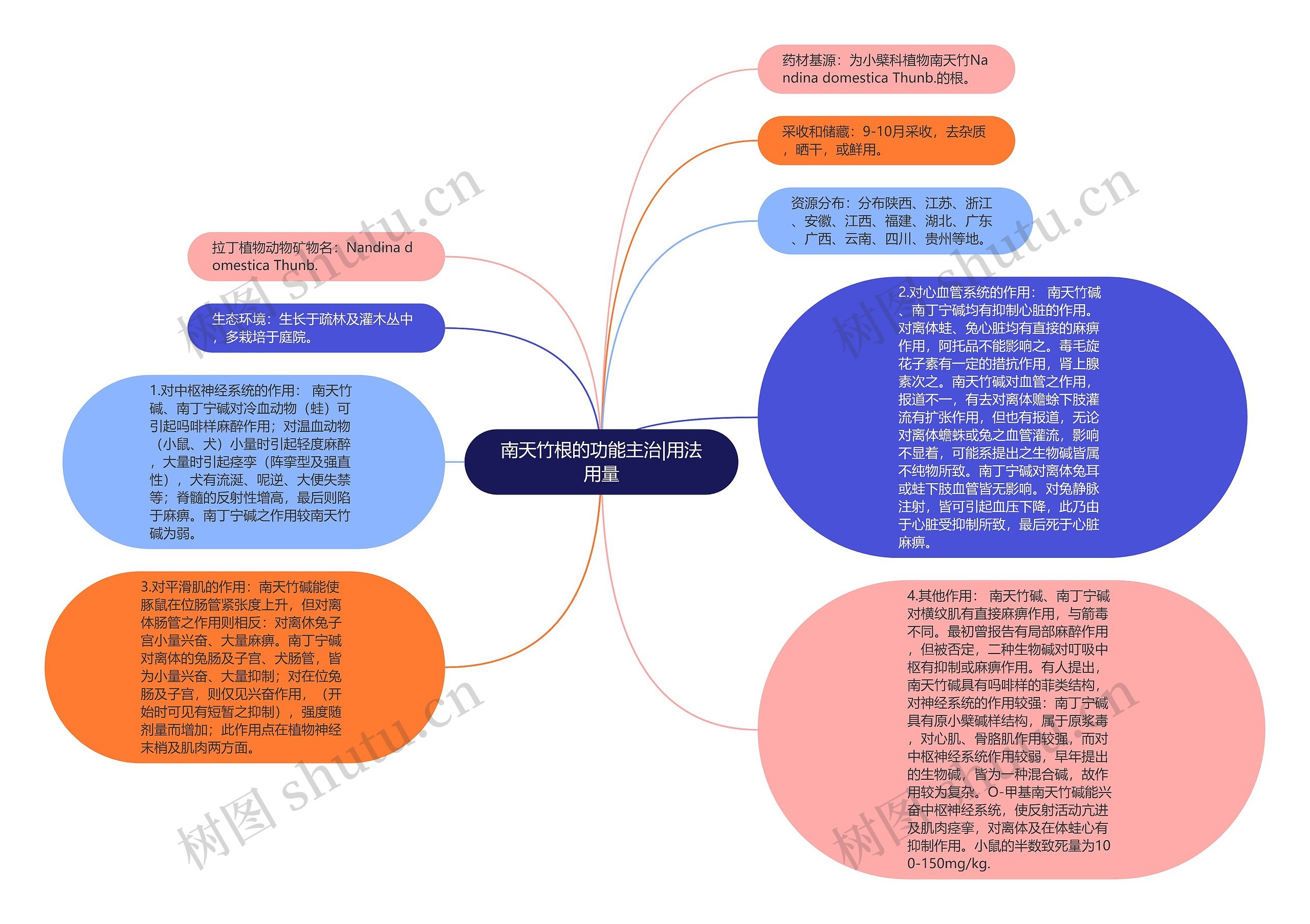 南天竹根的功能主治|用法用量思维导图