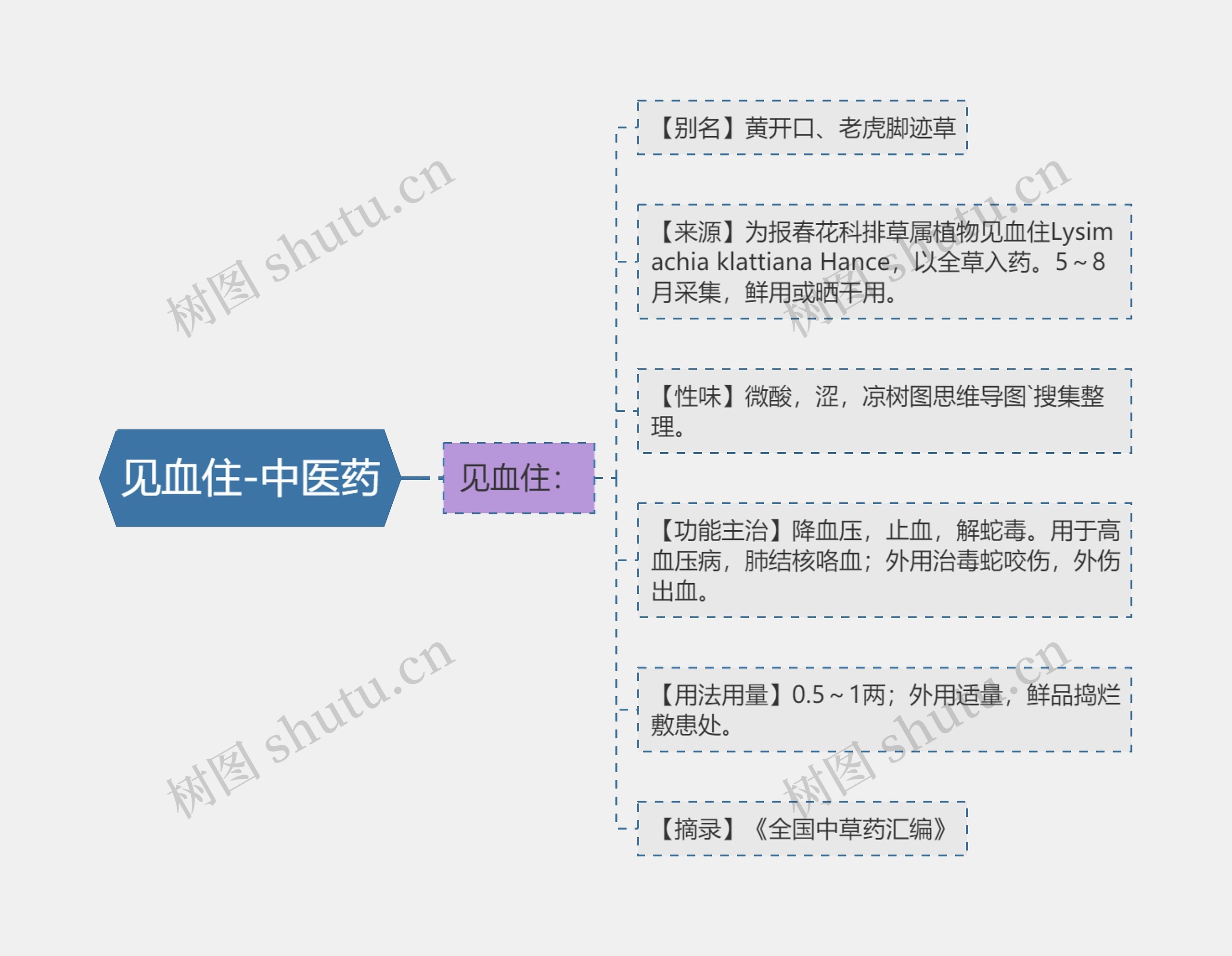 见血住-中医药思维导图