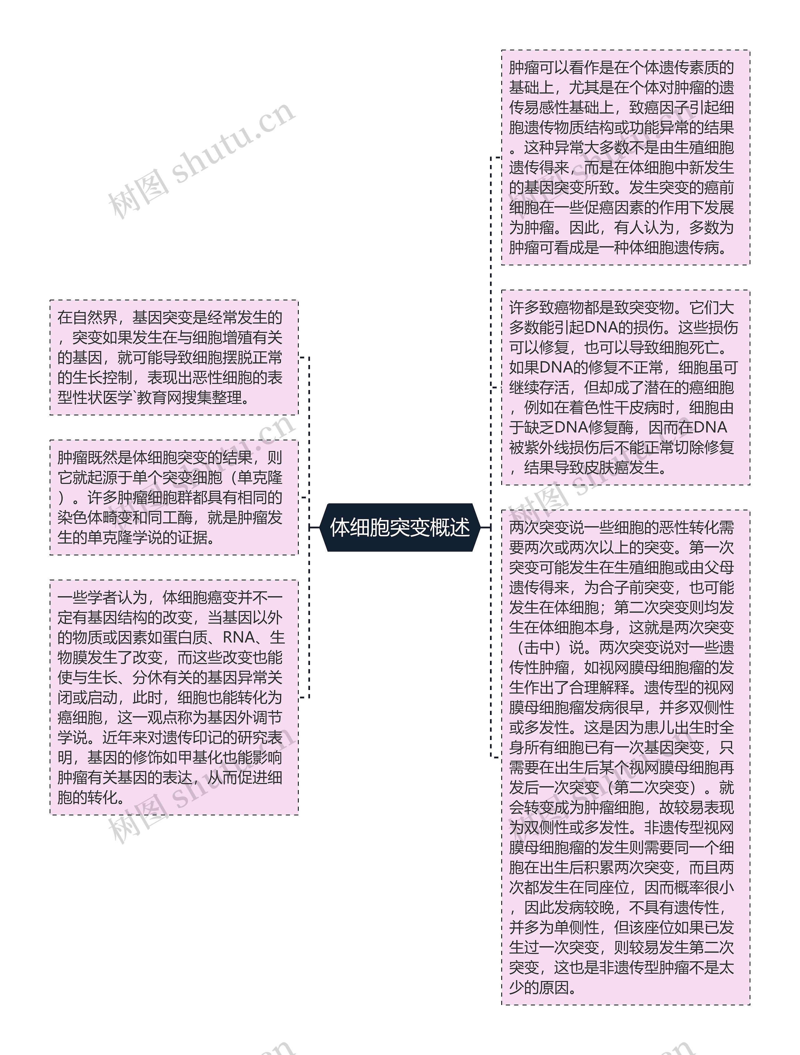 体细胞突变概述思维导图