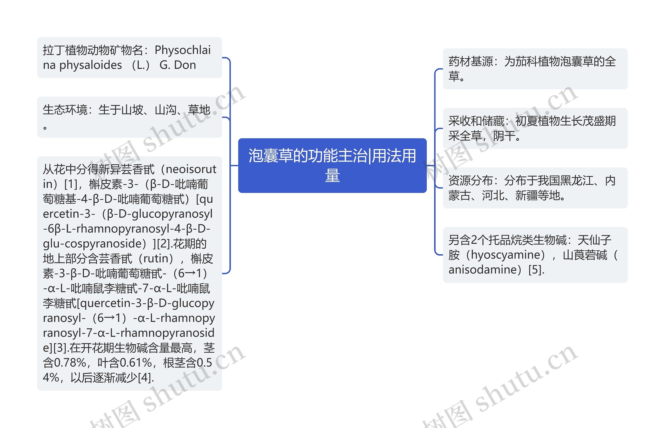 泡囊草的功能主治|用法用量思维导图