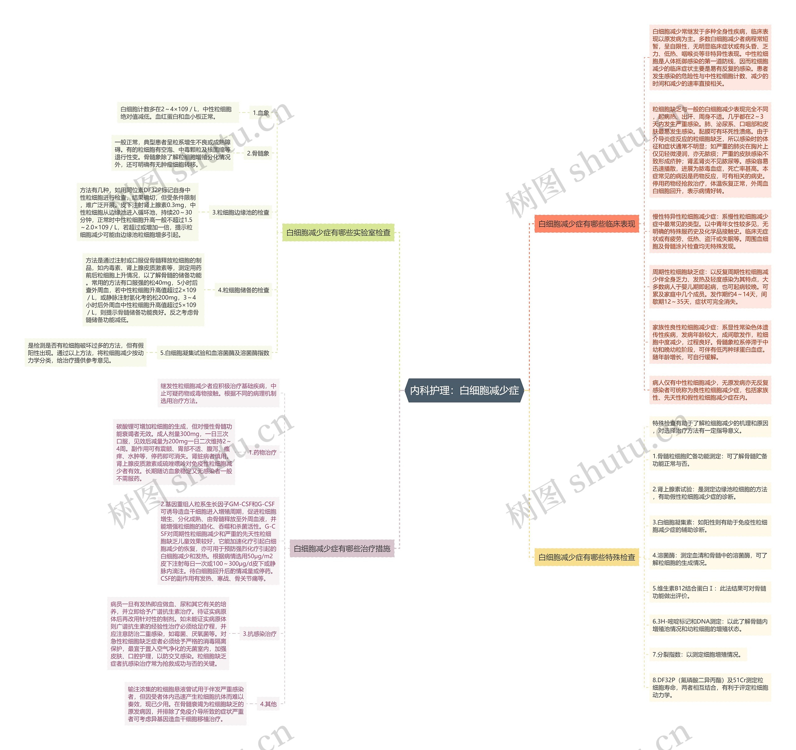 内科护理：白细胞减少症思维导图