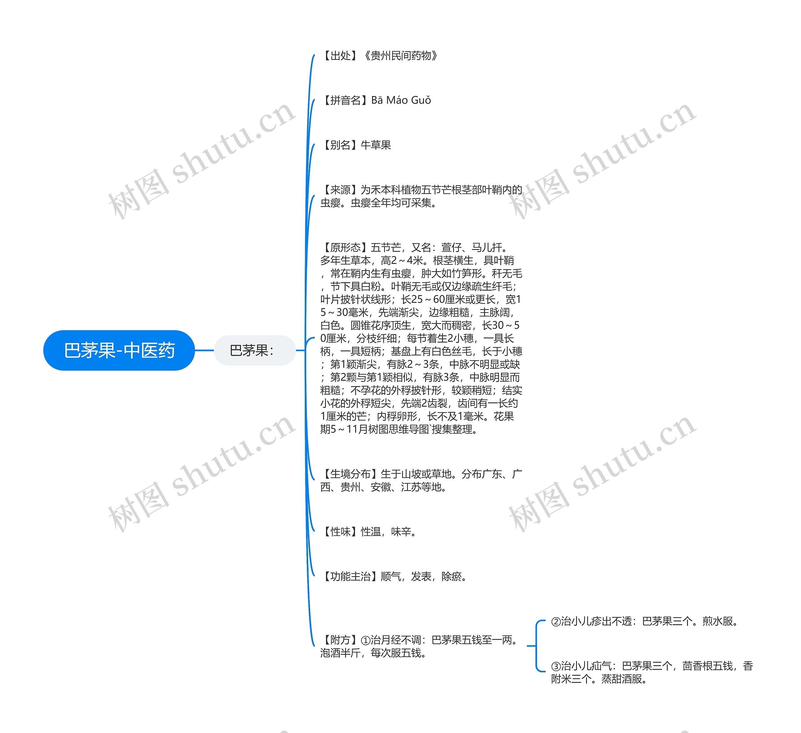 巴茅果-中医药思维导图