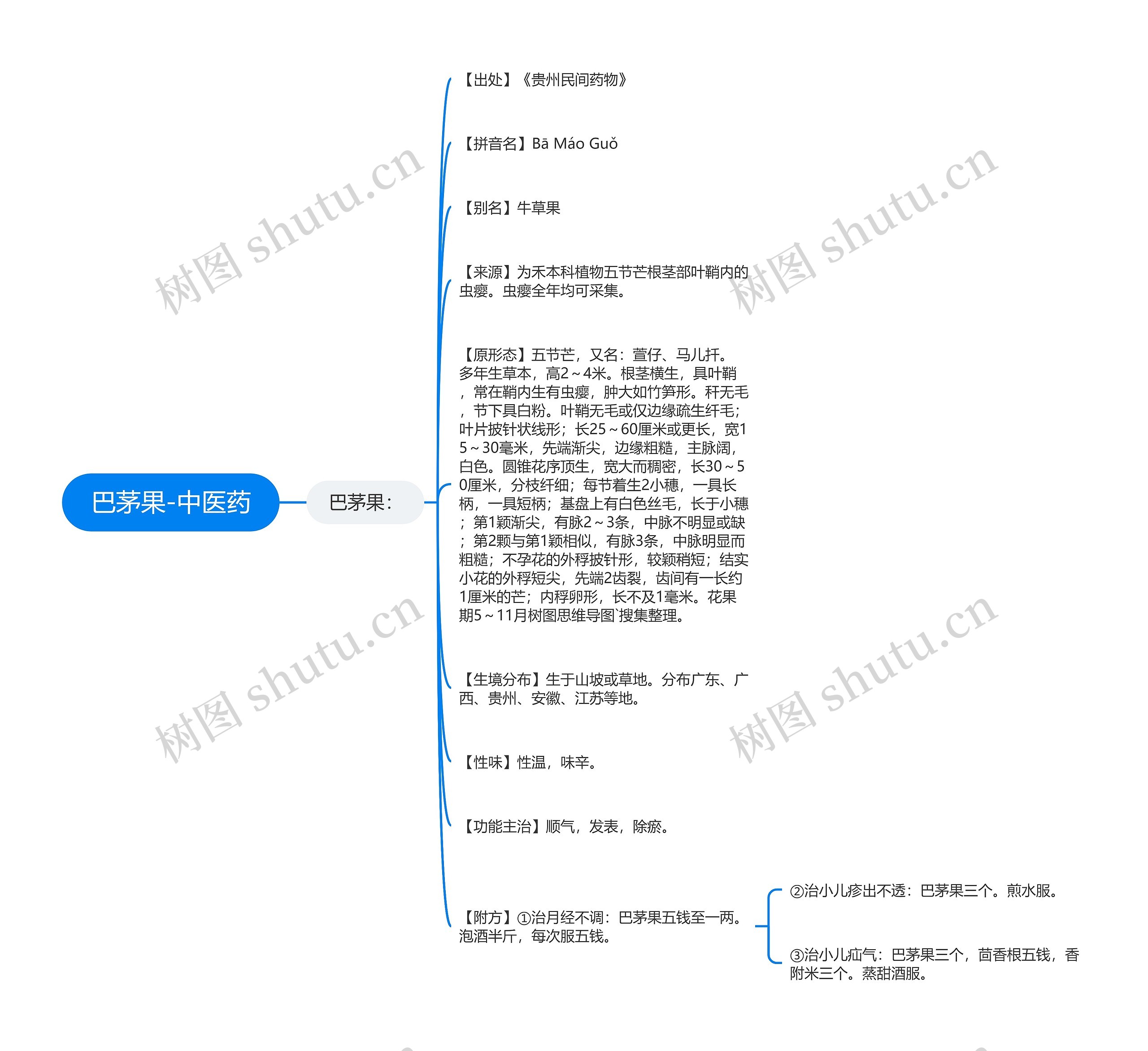 巴茅果-中医药 巴茅果-中医药