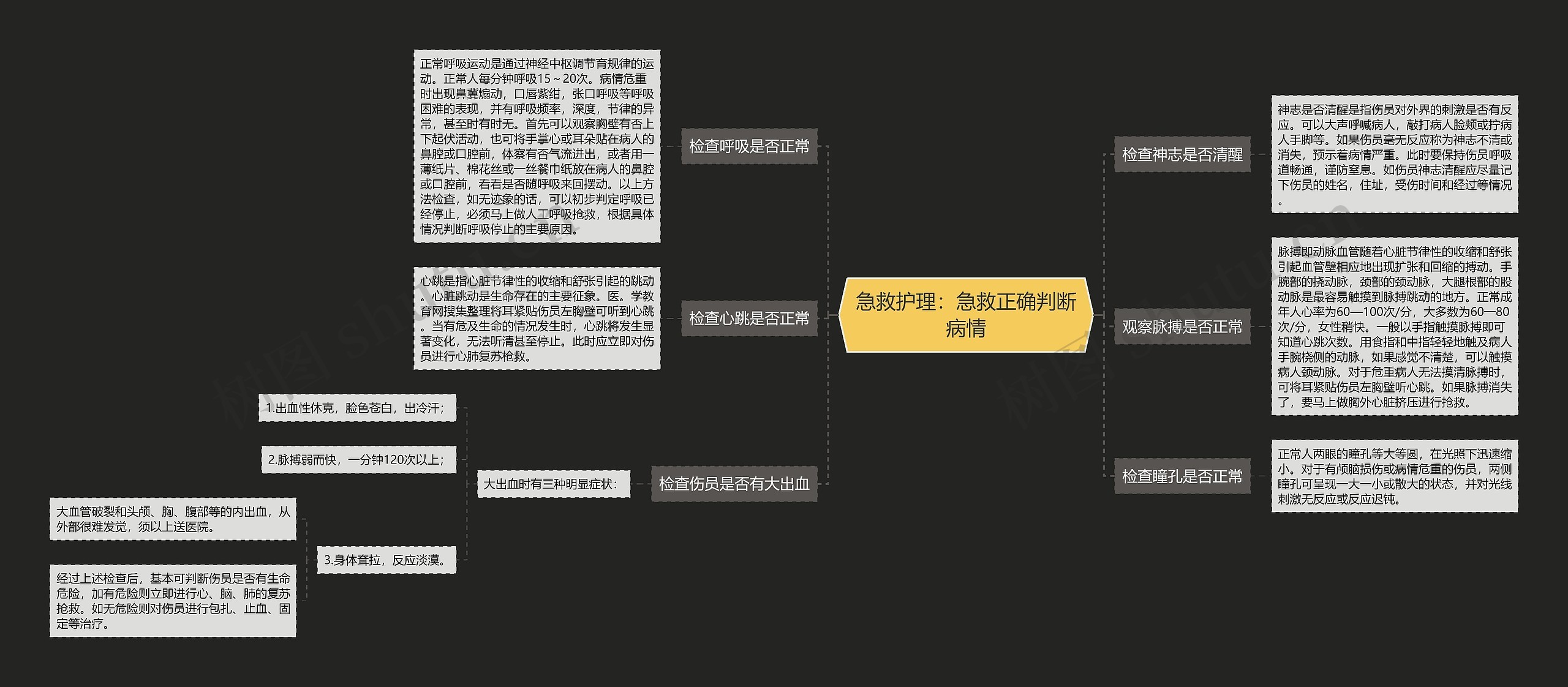 急救护理：急救正确判断病情思维导图