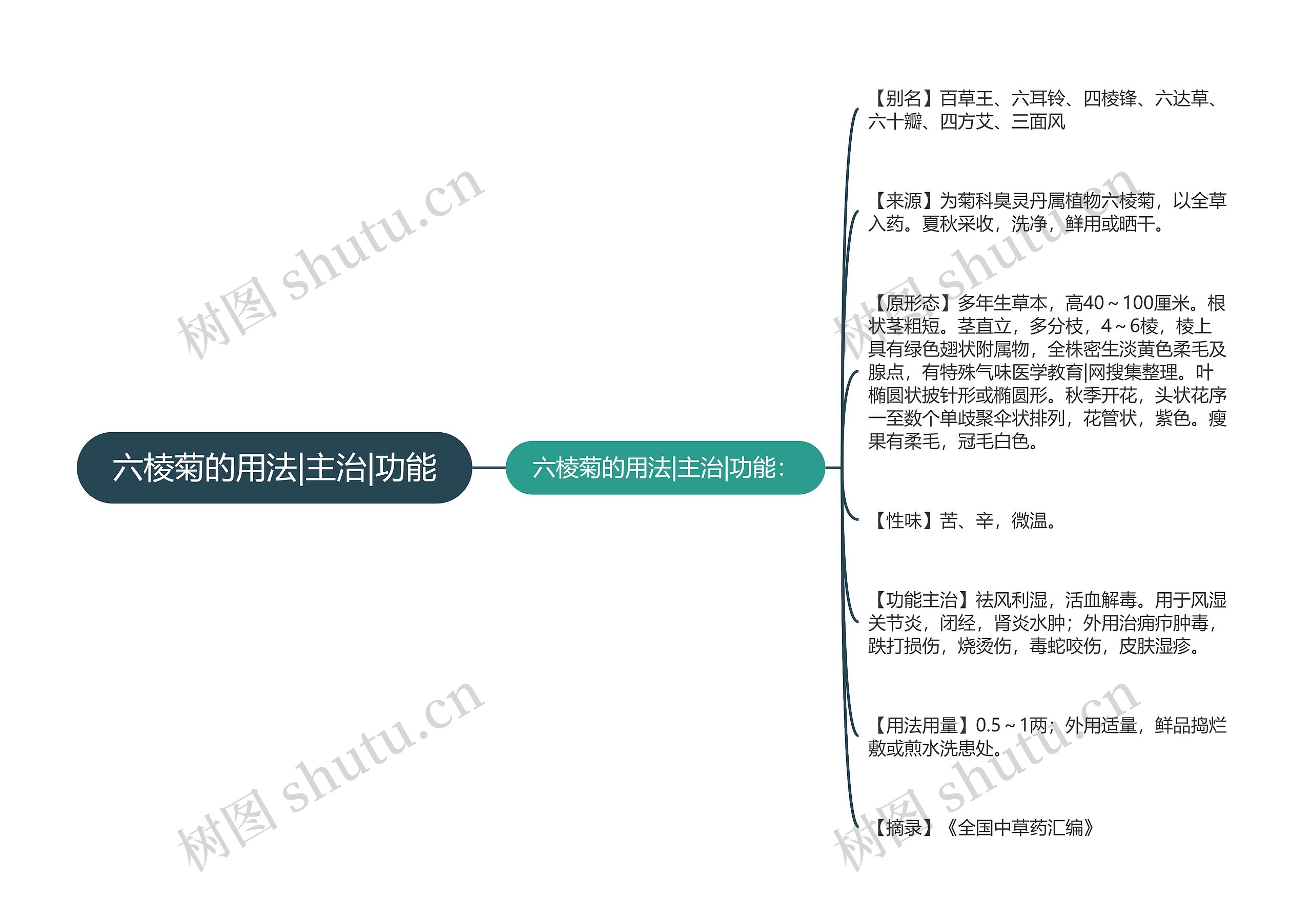 六棱菊的用法|主治|功能