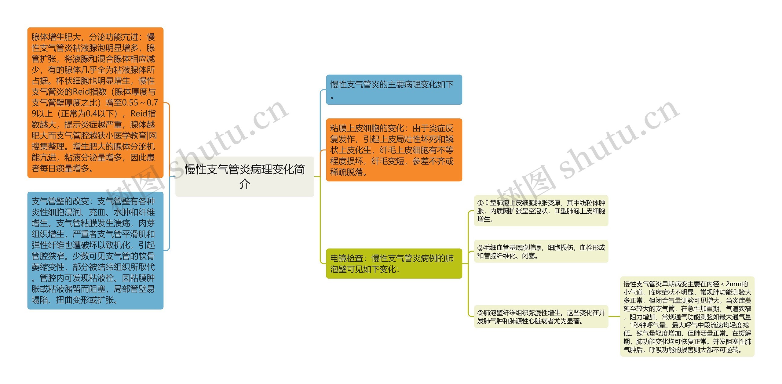 慢性支气管炎病理变化简介思维导图