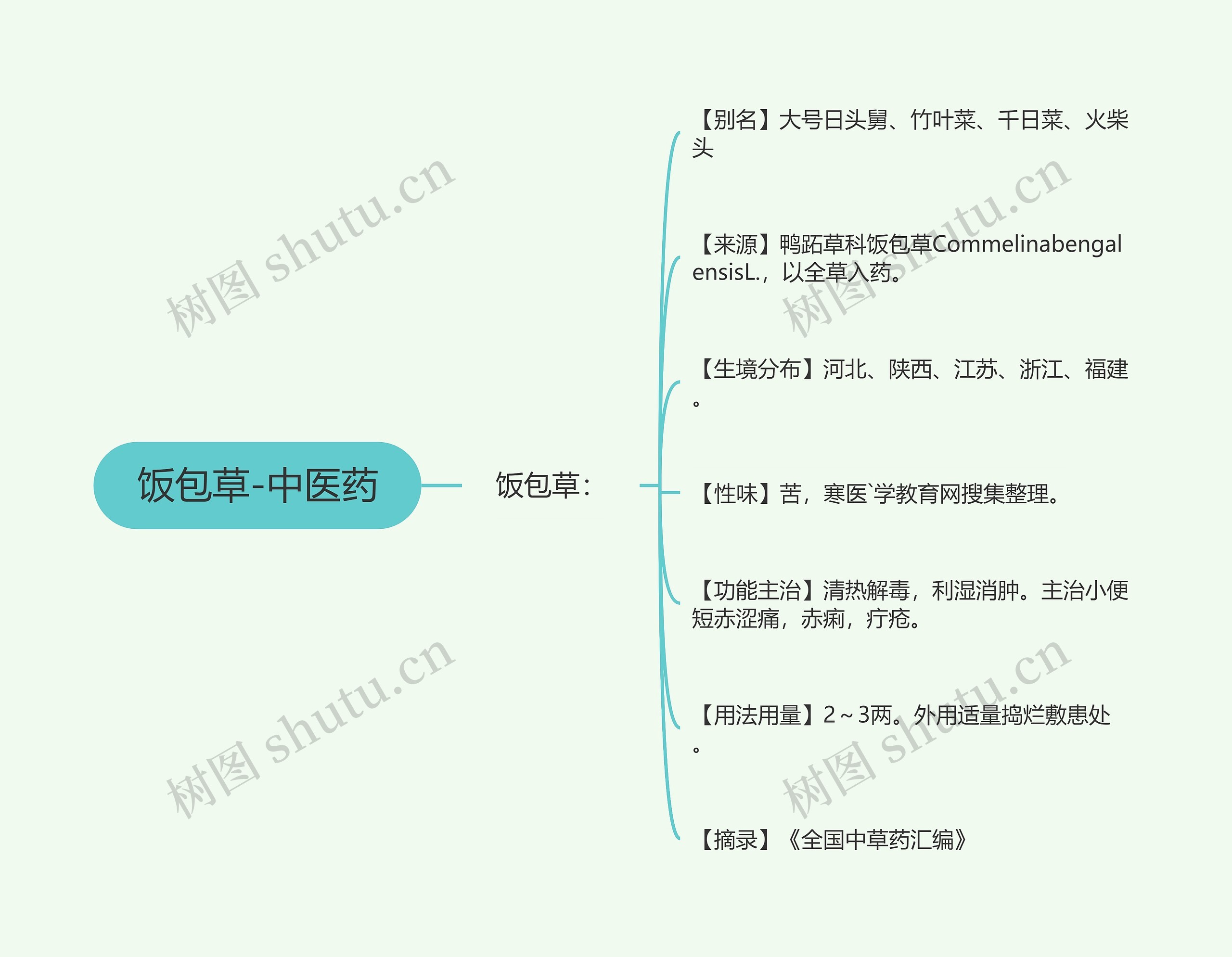 饭包草-中医药思维导图