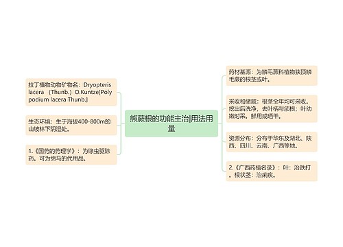 熊蕨根的功能主治|用法用量