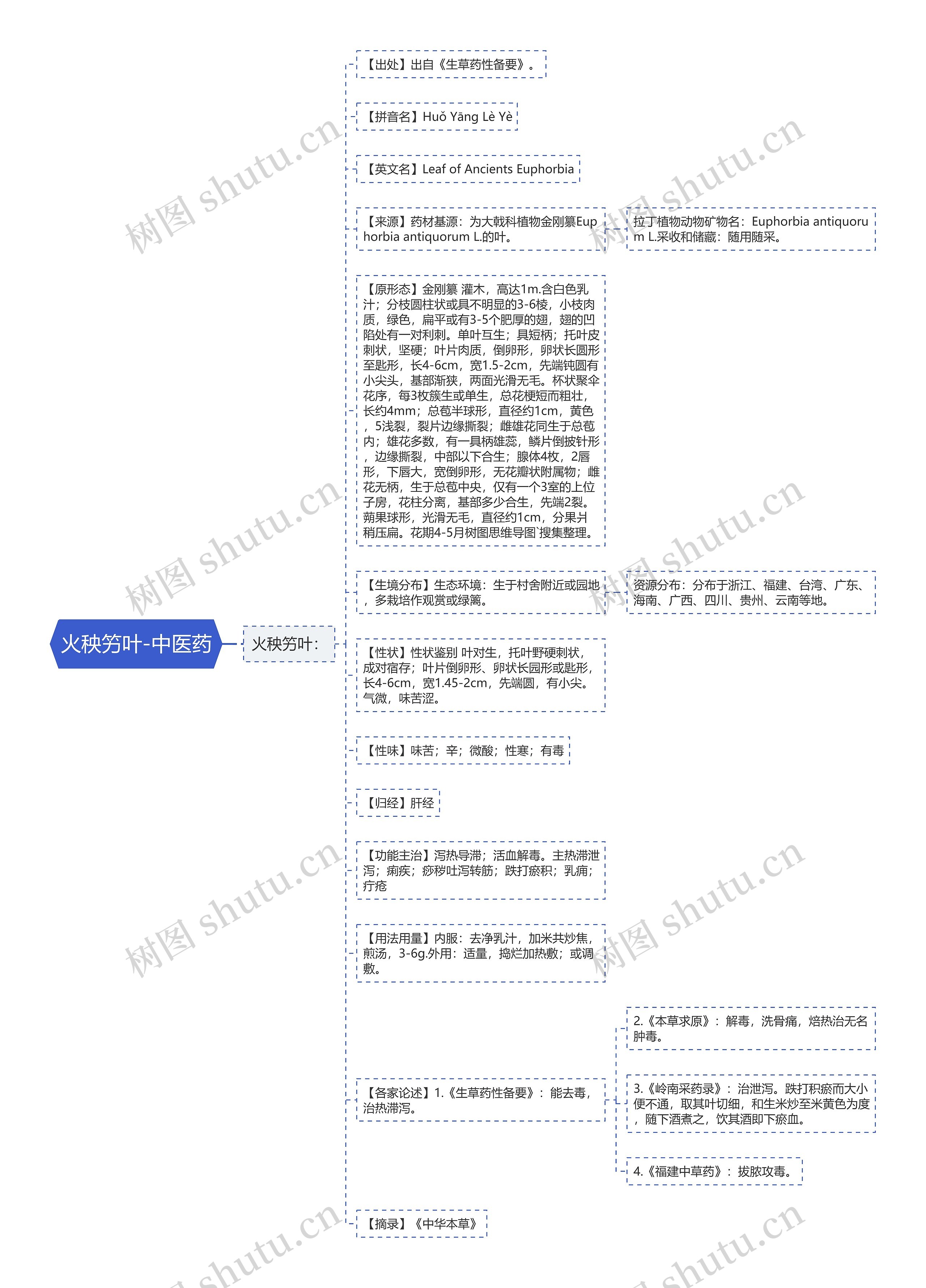 火秧竻叶-中医药思维导图