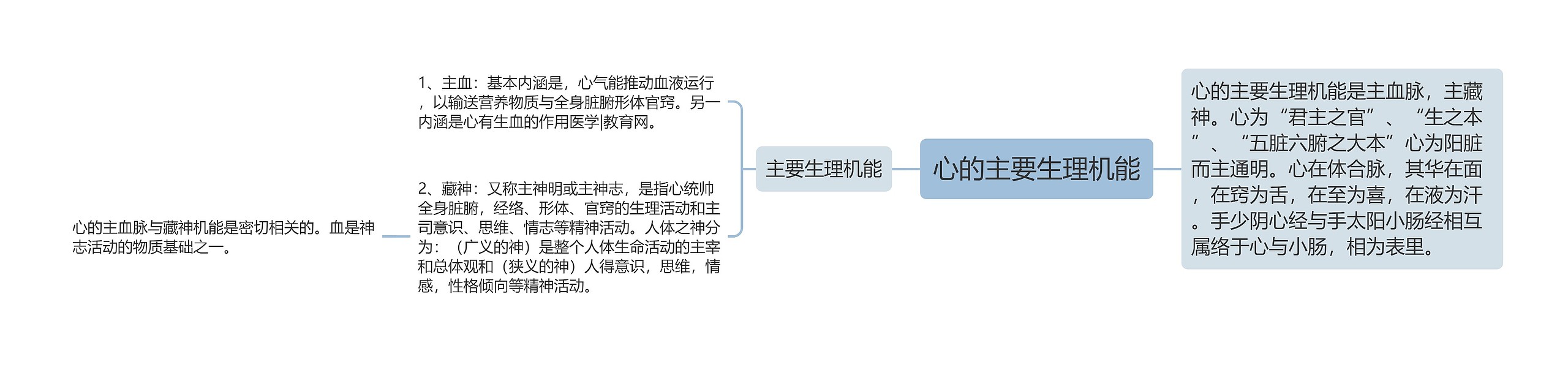 心的主要生理机能思维导图