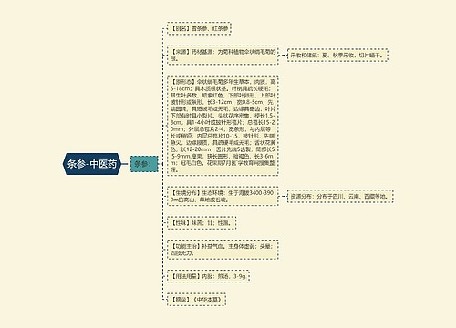 条参-中医药