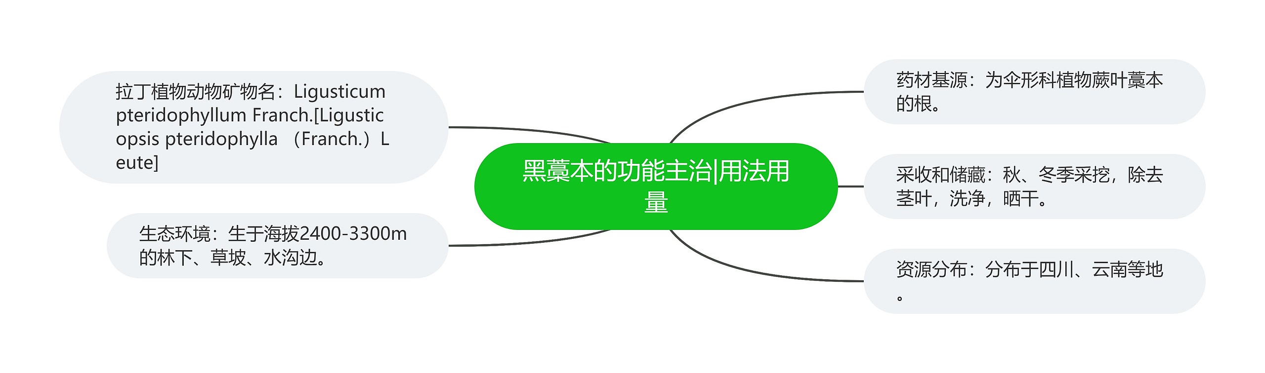 黑藁本的功能主治|用法用量 黑藁本的功能主治|用法用量