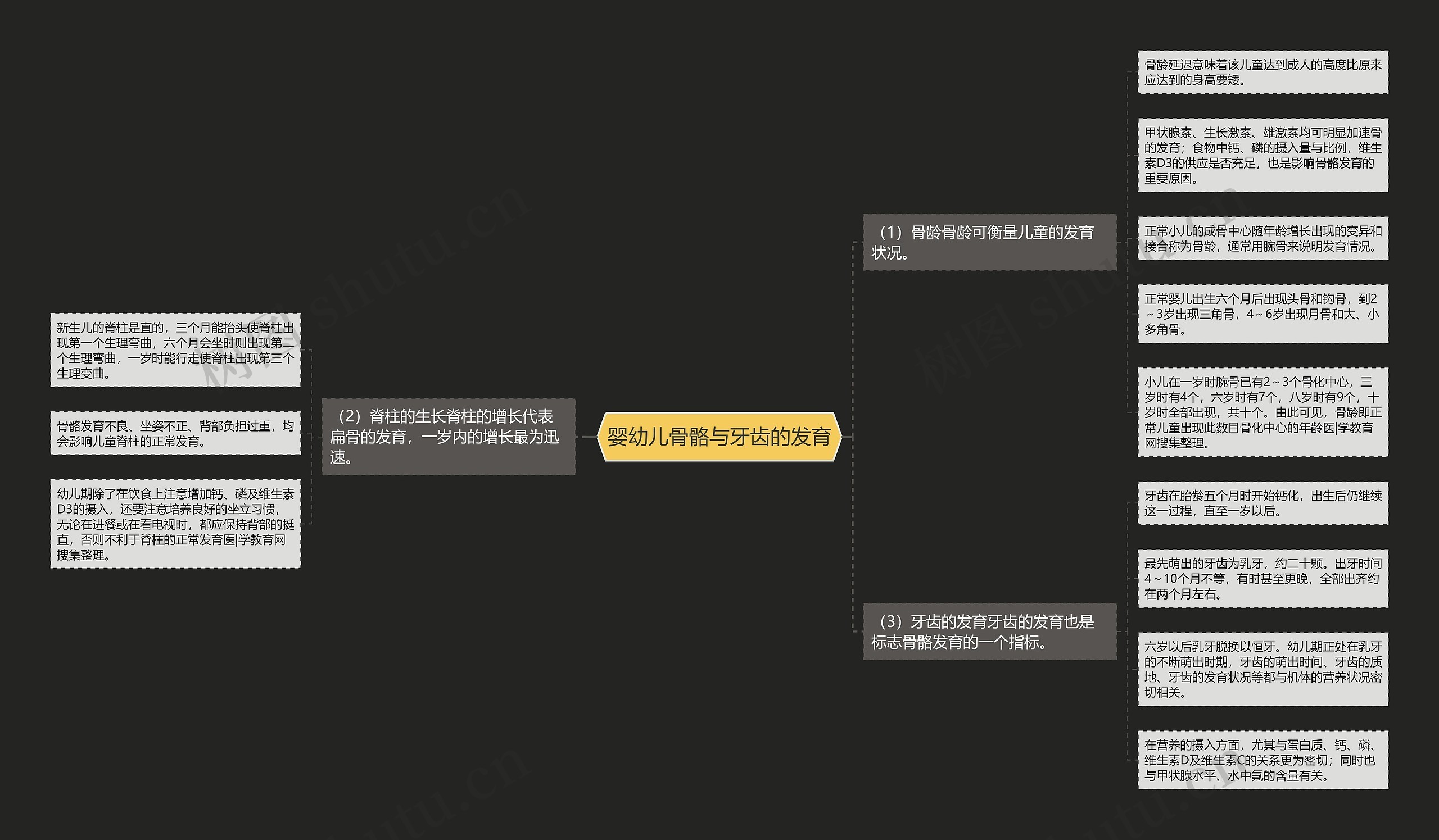 婴幼儿骨骼与牙齿的发育思维导图