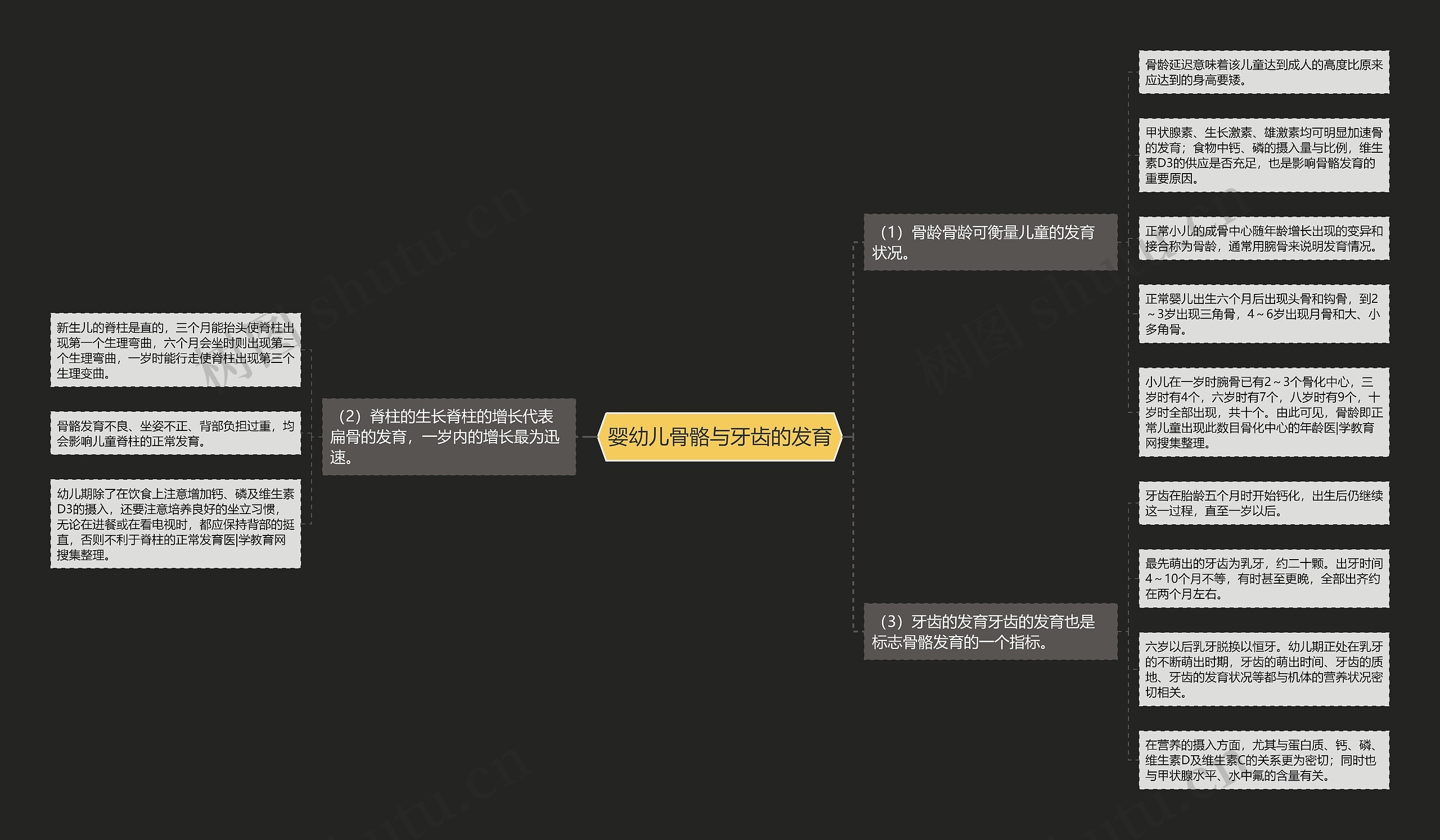 婴幼儿骨骼与牙齿的发育 婴幼儿骨骼与牙齿的发育