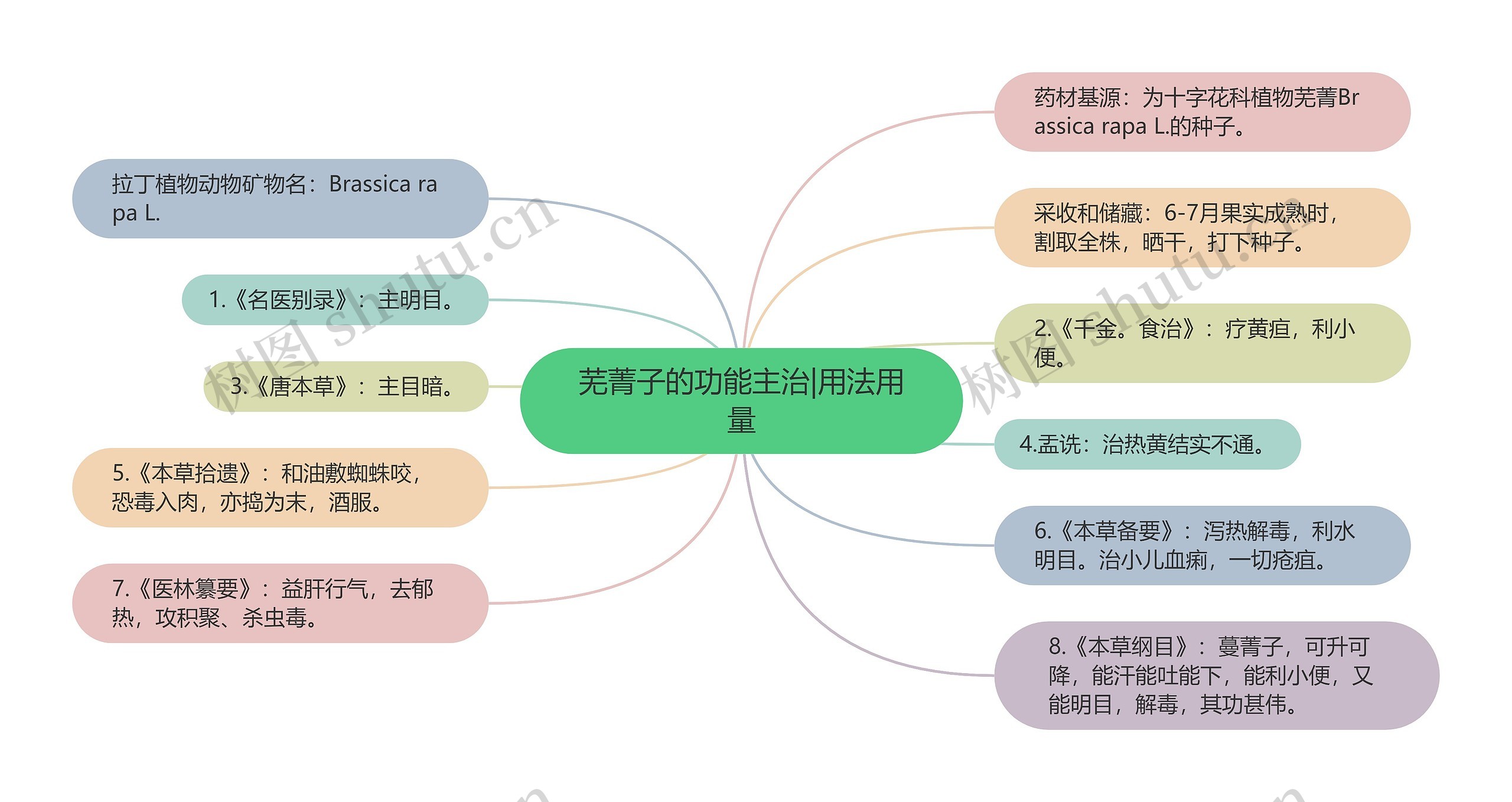 芜菁子的功能主治|用法用量思维导图