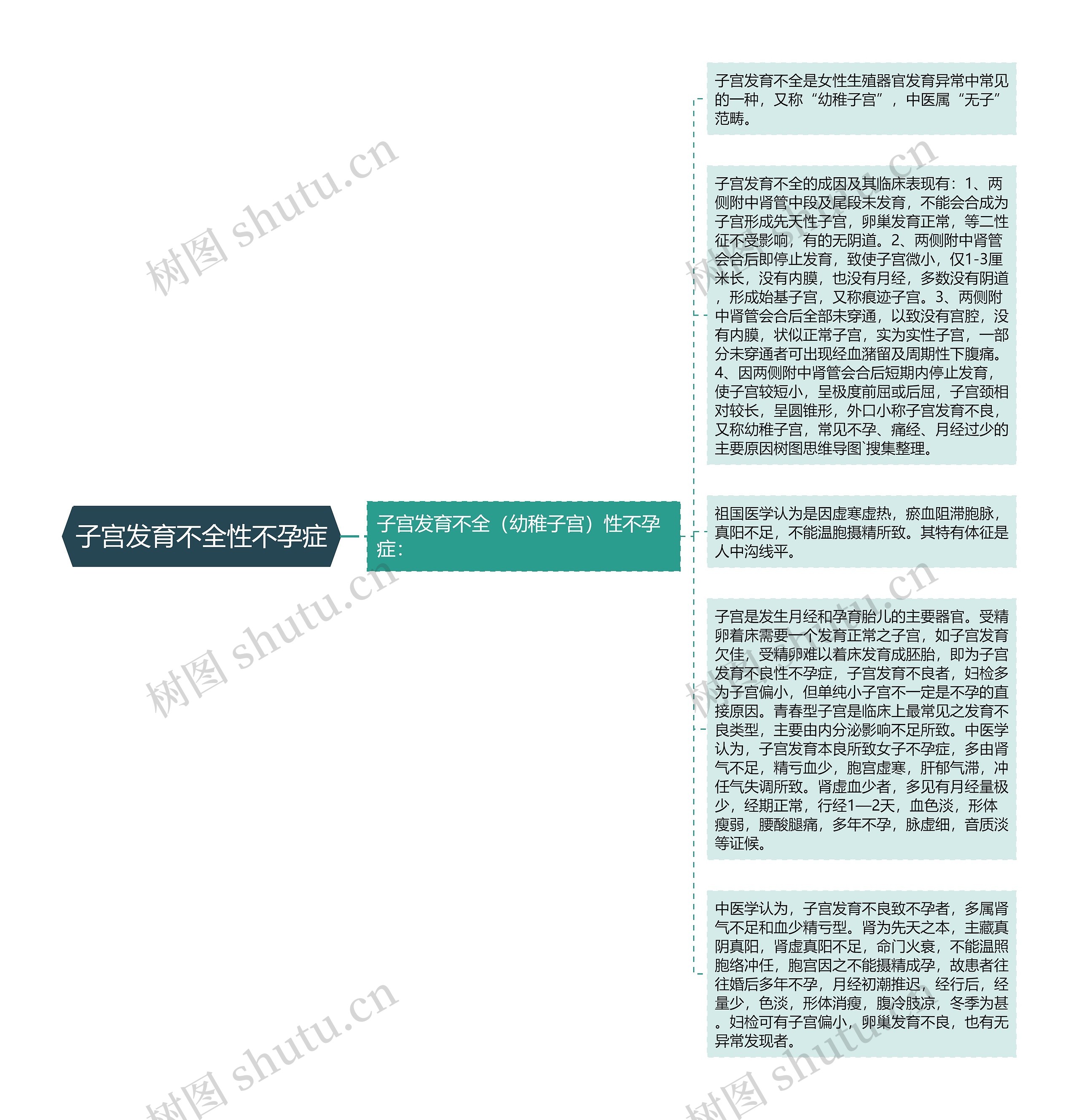 子宫发育不全性不孕症思维导图