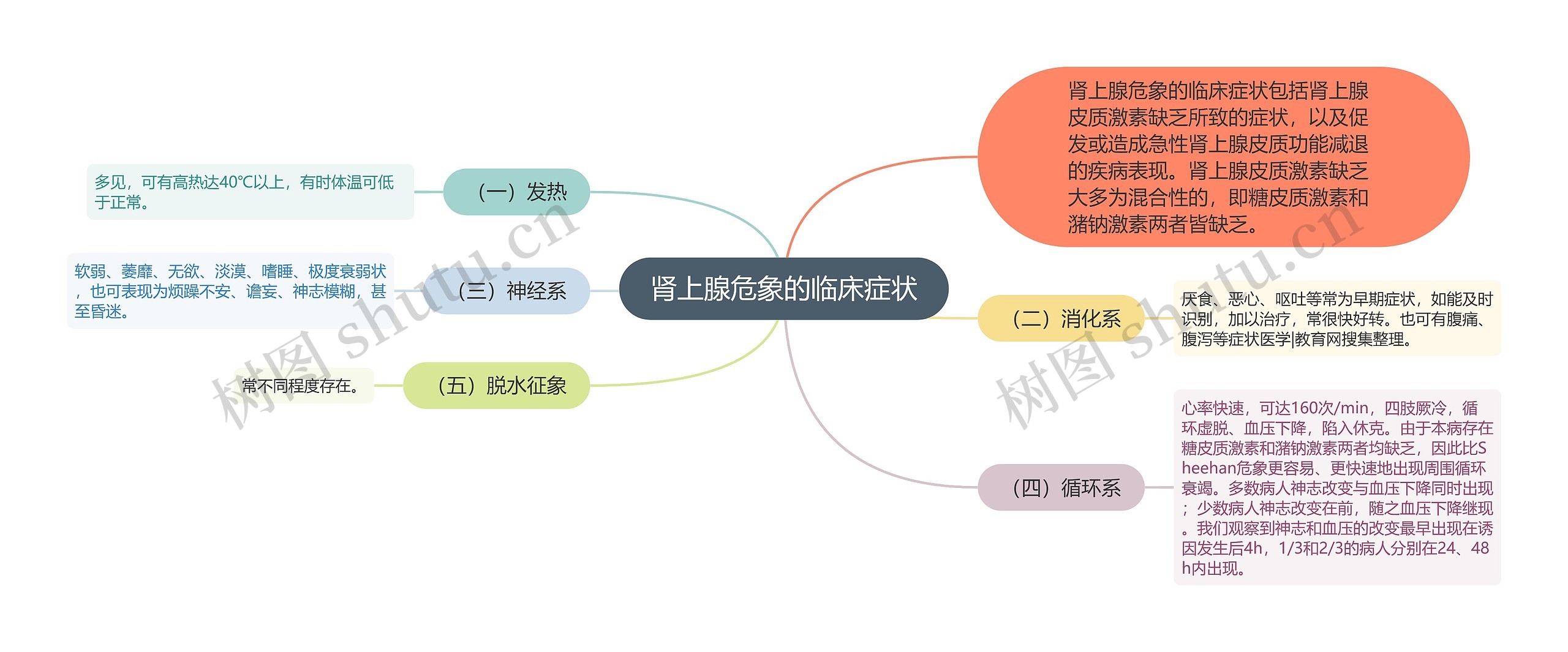 肾上腺危象的临床症状思维导图