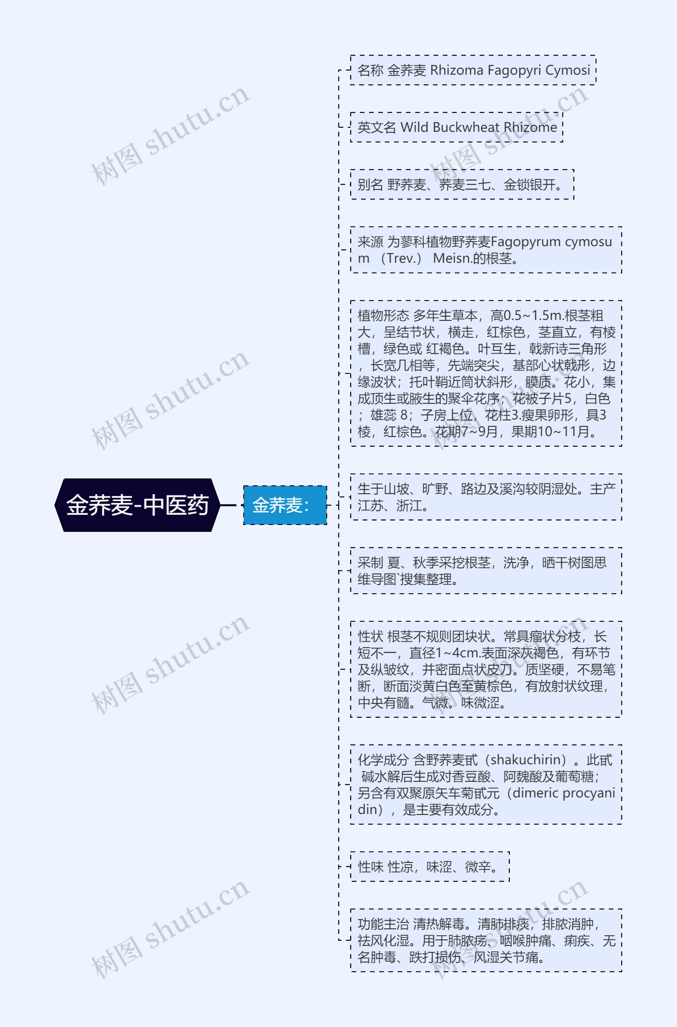 金荞麦-中医药思维导图