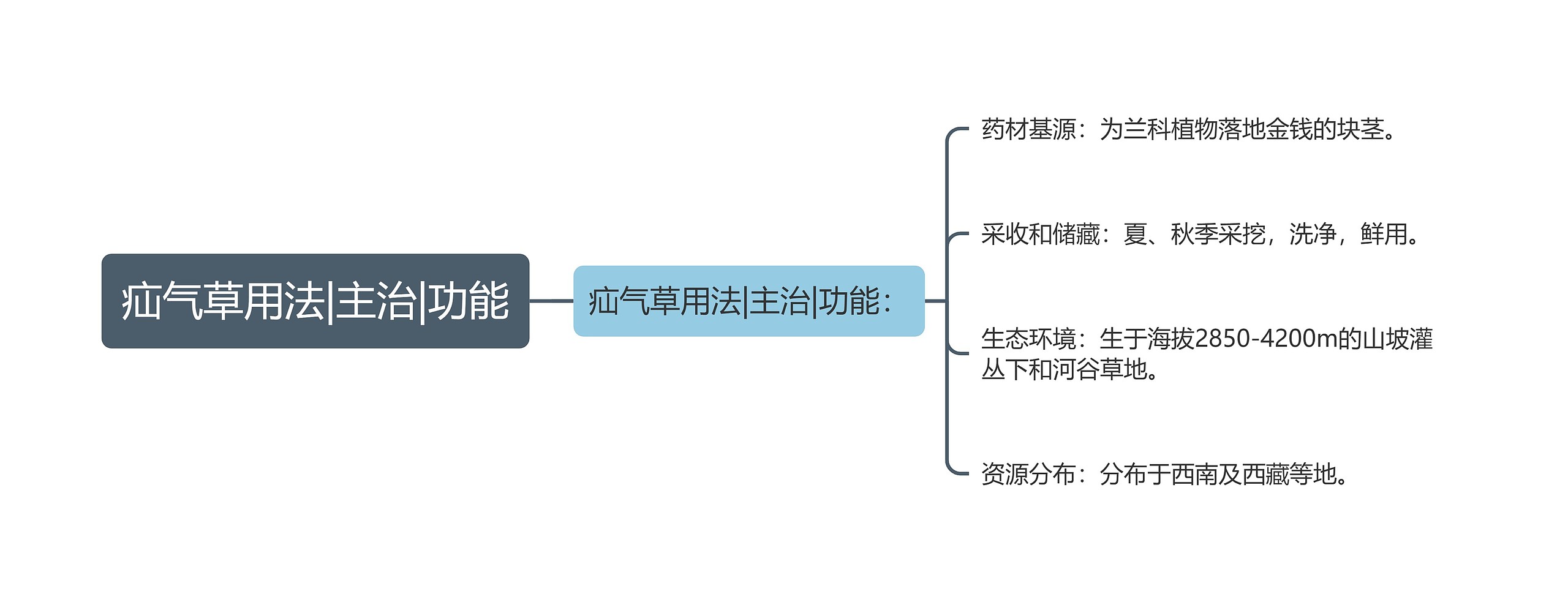 疝气草用法|主治|功能思维导图