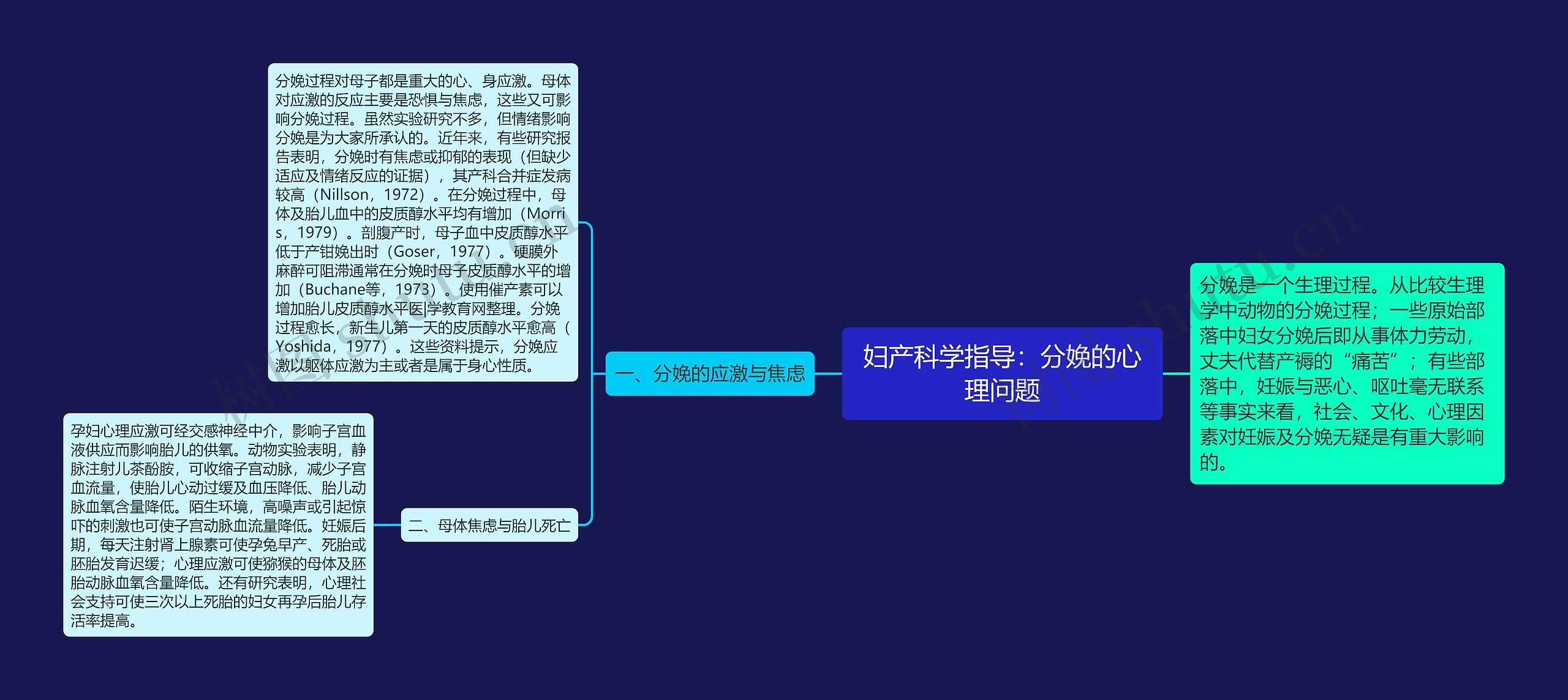 妇产科学指导：分娩的心理问题思维导图