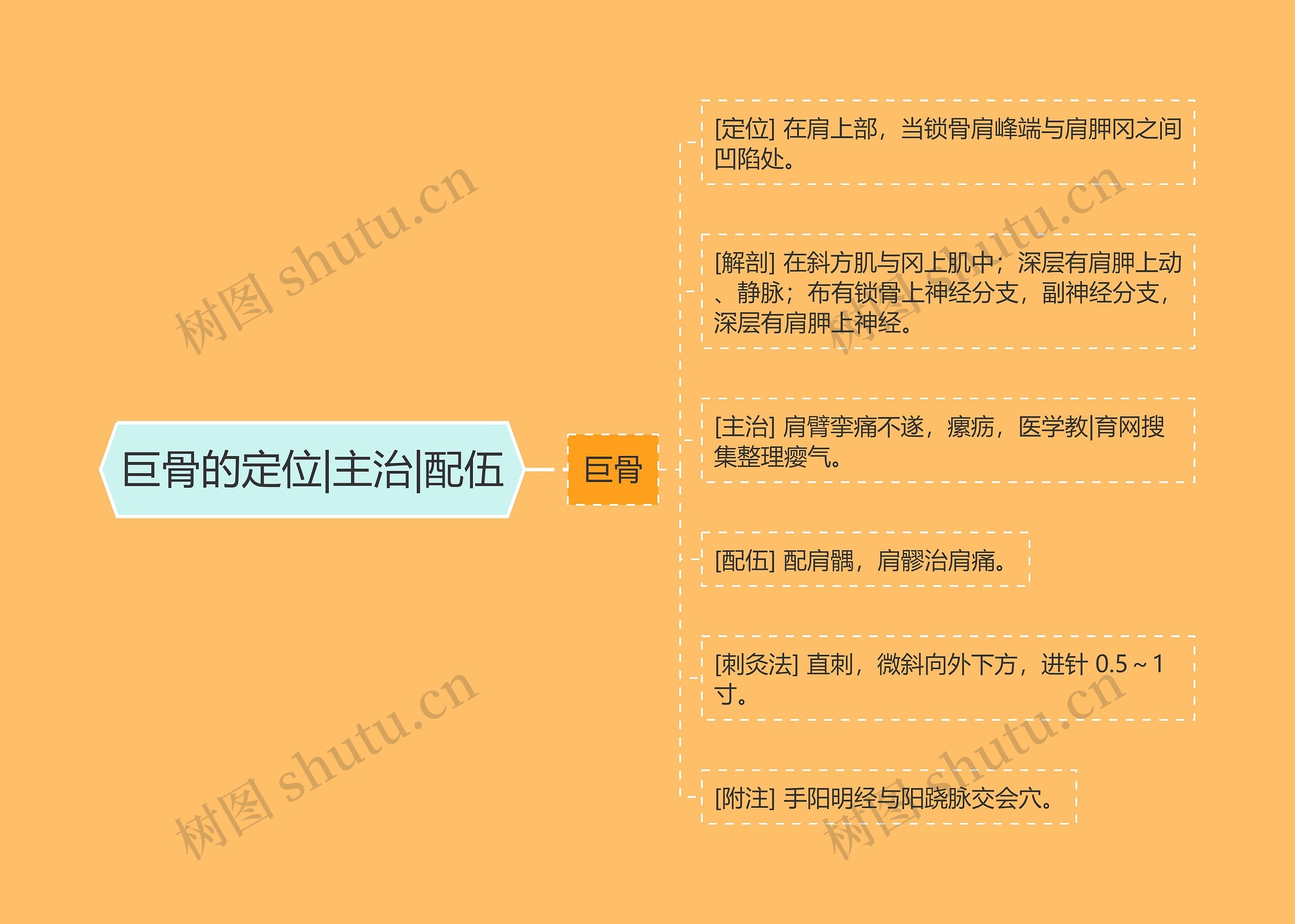 巨骨的定位|主治|配伍思维导图
