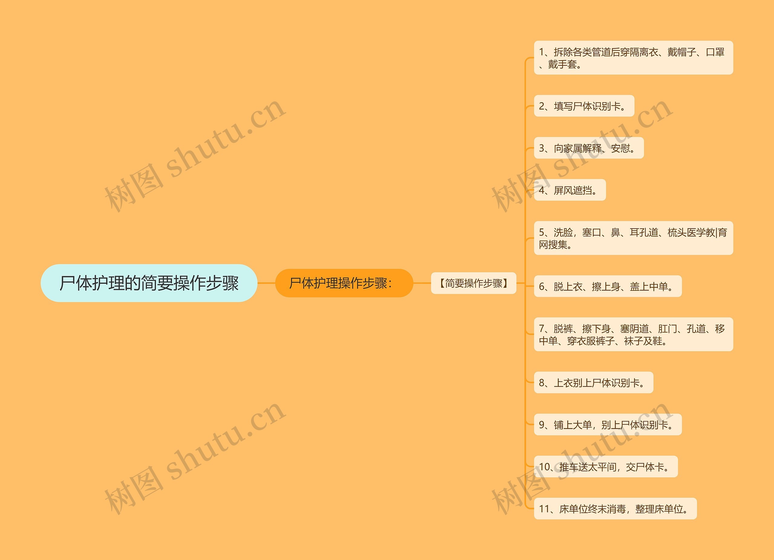 尸体护理的简要操作步骤