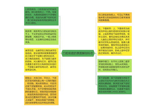 口腔前庭的表面解剖标志