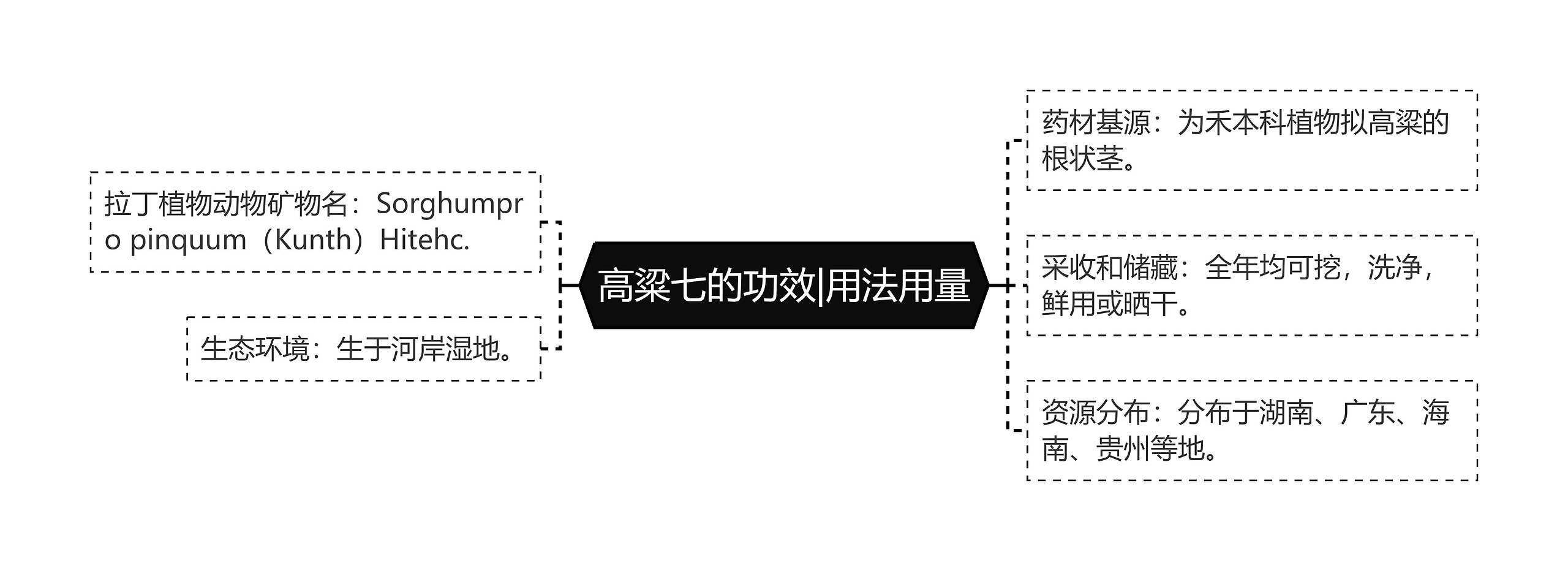 高粱七的功效|用法用量思维导图