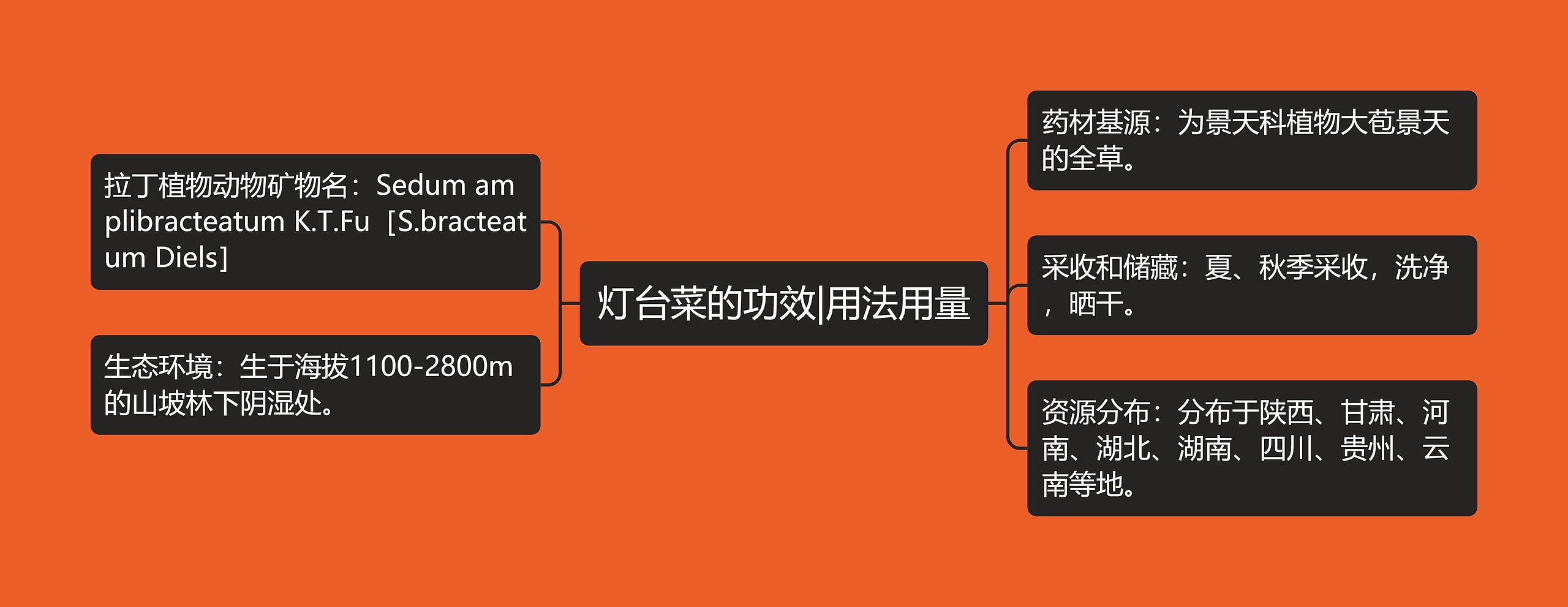 灯台菜的功效|用法用量思维导图