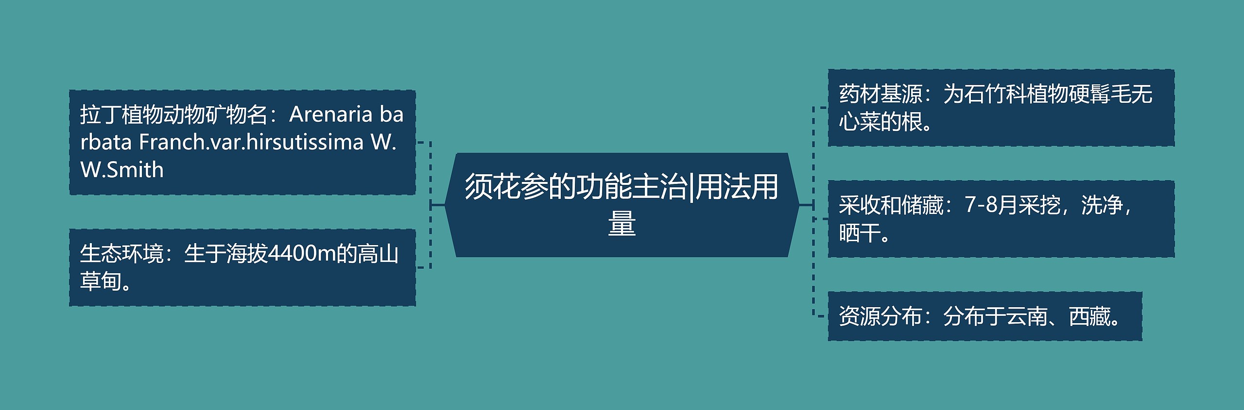 须花参的功能主治|用法用量 须花参的功能主治|用法用量