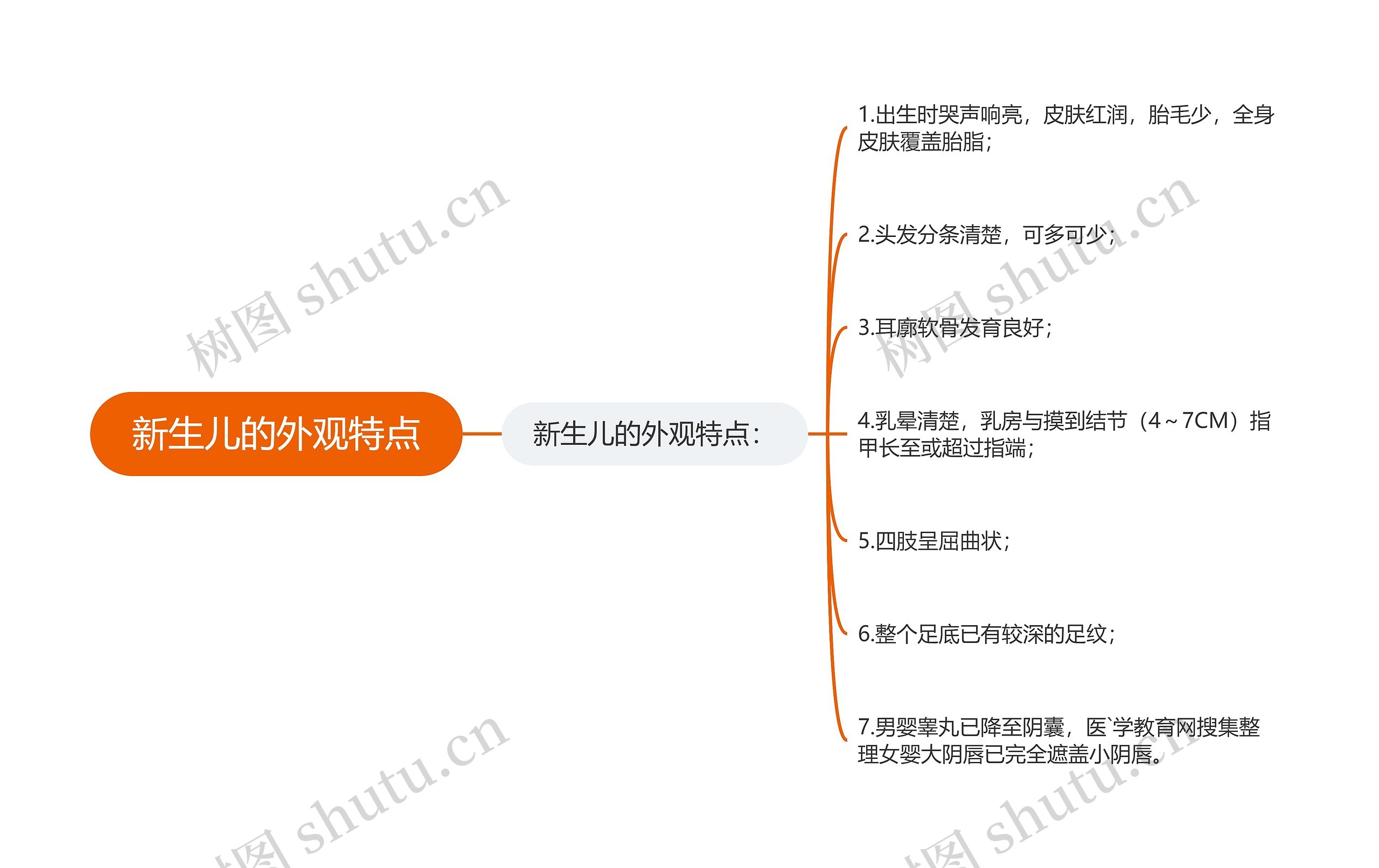 新生儿的外观特点