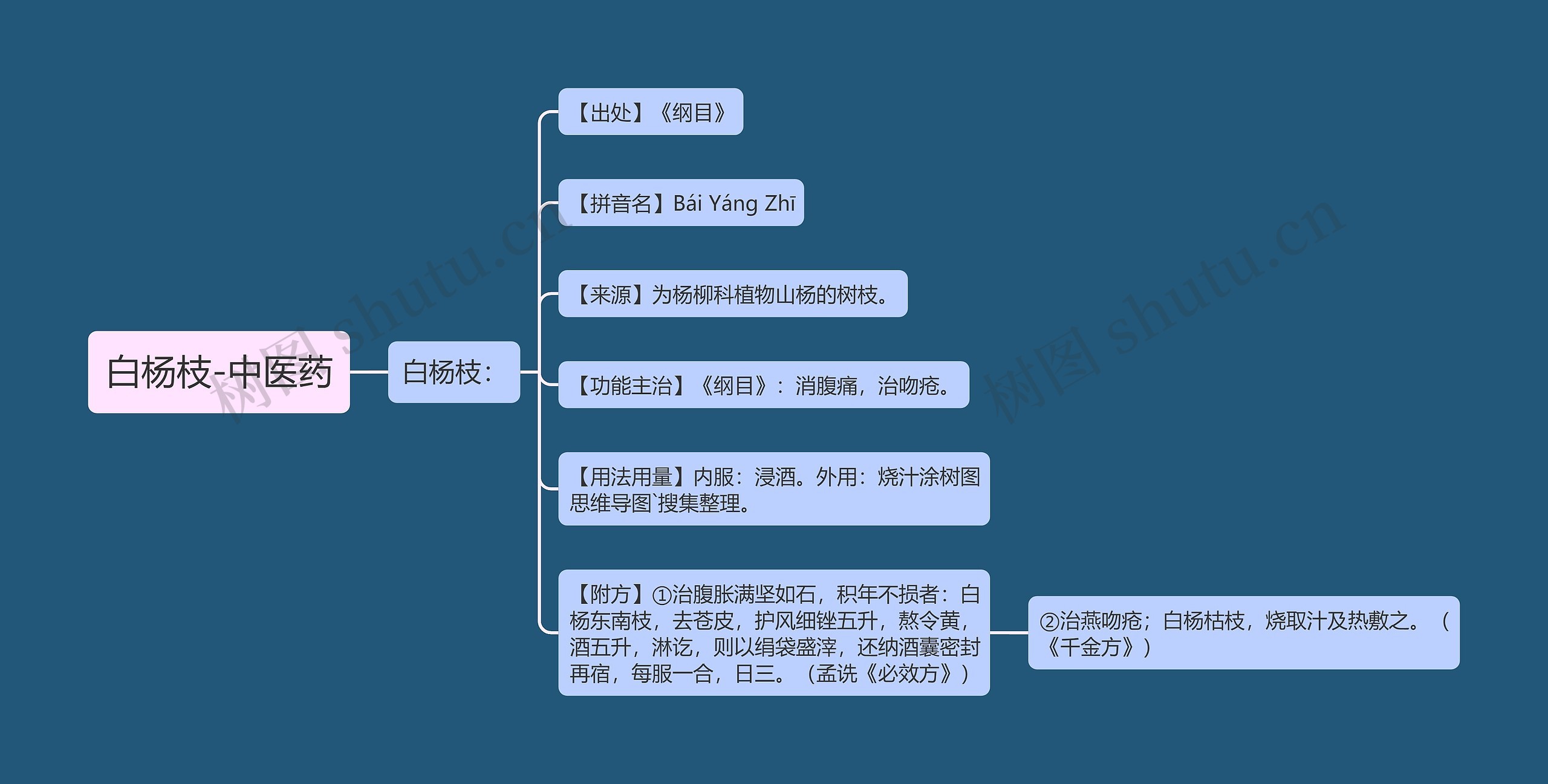 白杨枝-中医药